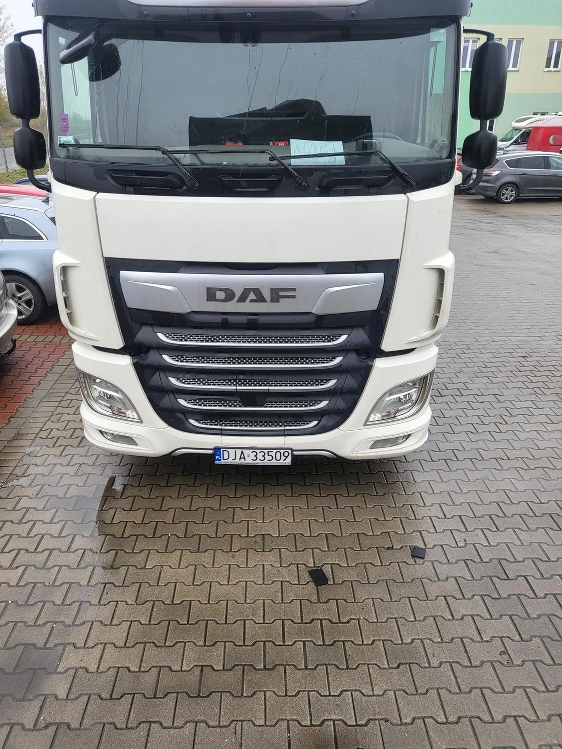 Cham i gbur i agresywny typ uważać