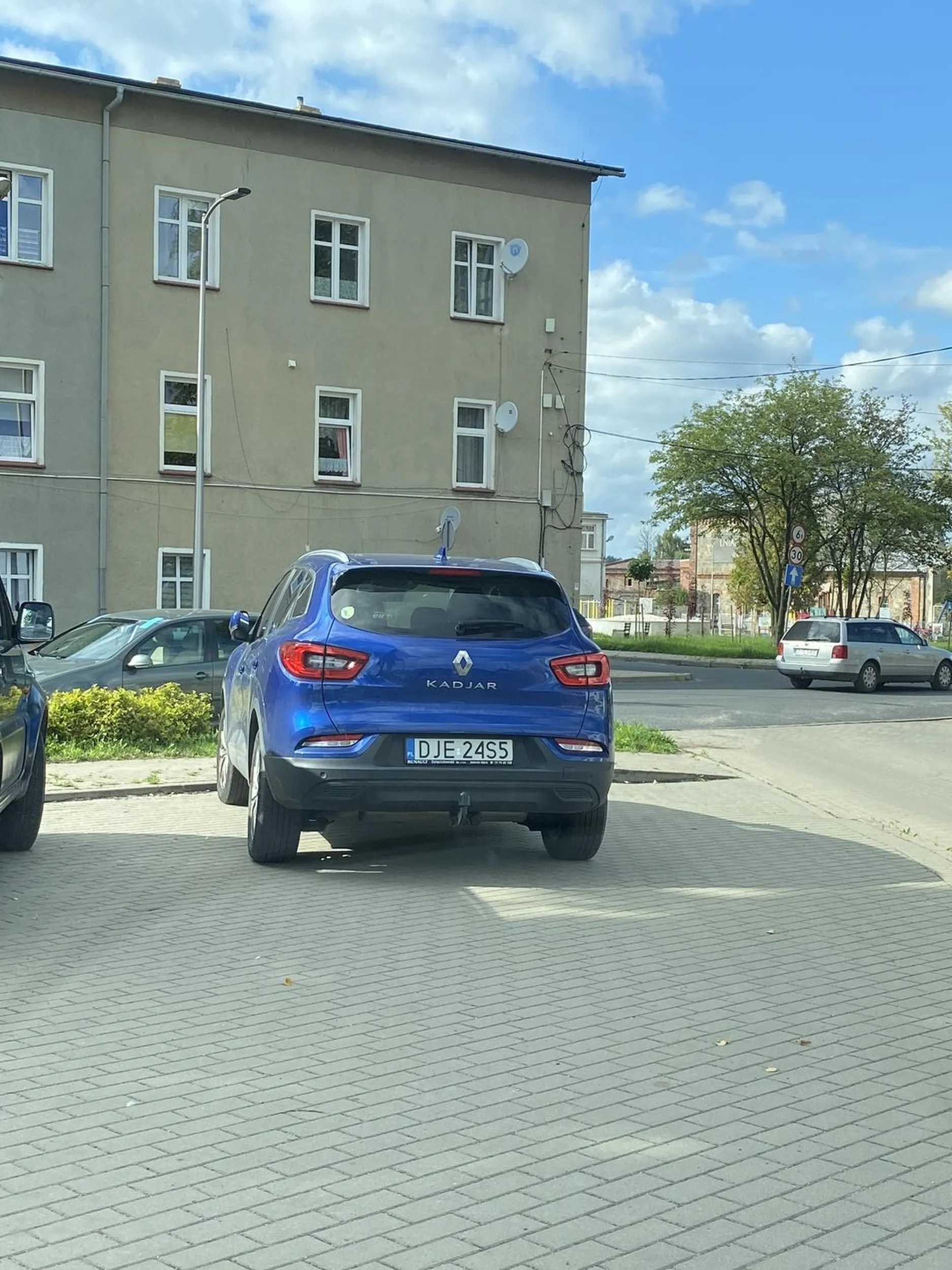 gratuluje mózgu, gdzie uczyli tak stawać na wyjeździe?