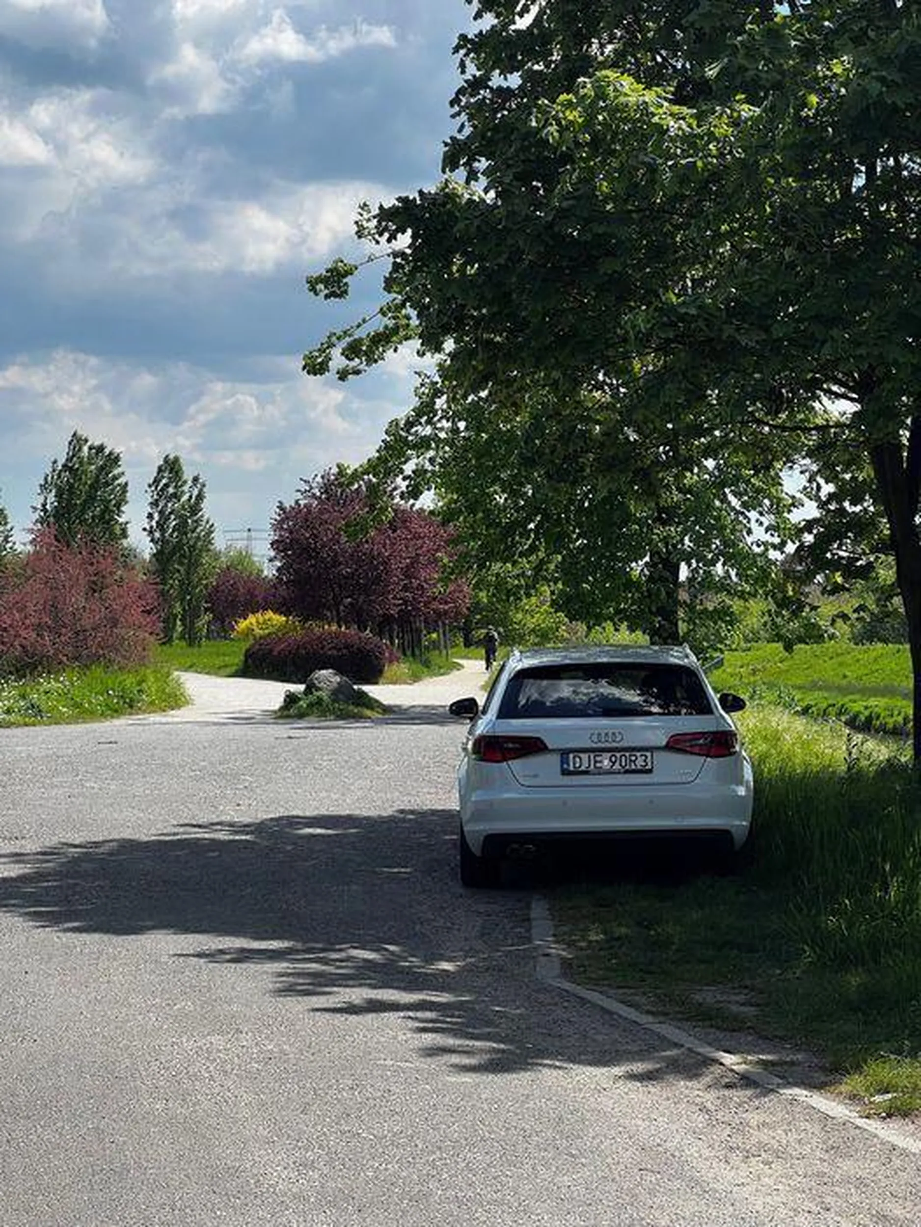 Niszczy zieleń w parku nieprawidłowo parkując, mimo dużego, bezpłatnego parkingu tuż obok.
