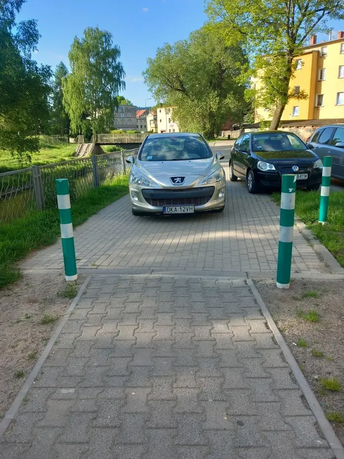 Kolejny mistrz parkowania
