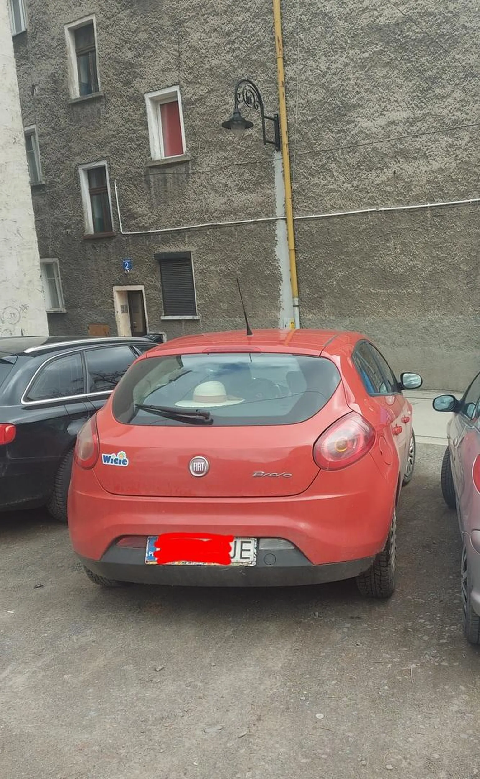 Mistrzyni parkowania