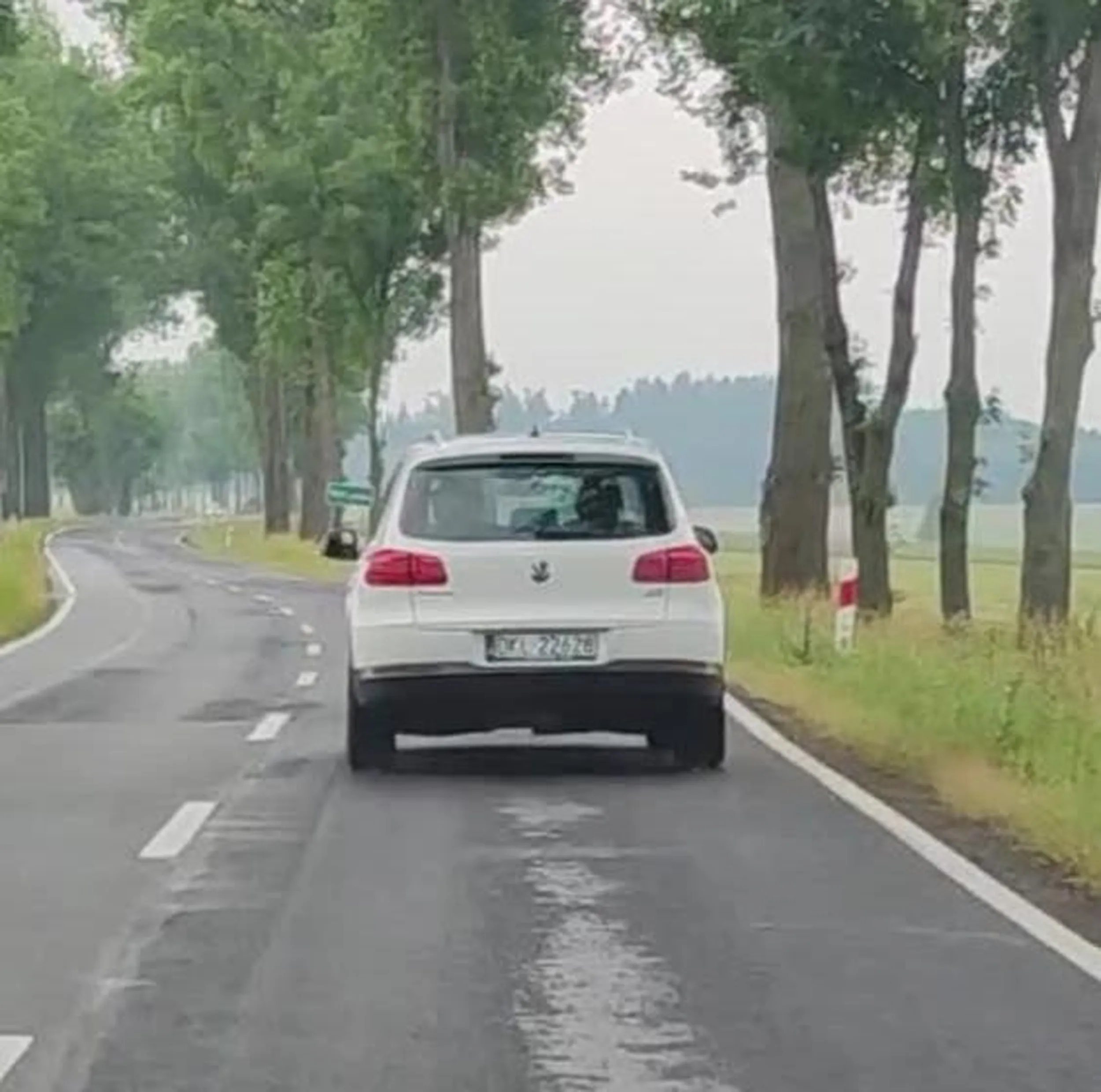 Król szos. Po zasygnalizowaniu, że opuścił teren zabudowany i warto przyspieszyć, a nie jechać 40km/h wpadł w furię. Otworzył okno wystawiając rękę z wymownym gestem, hamuje przed maską, zajeżdża drogę w trakcie manewru wyprzedzania. Stwarza zagrożenie nie tylko dla siebie i innych kierowców ale też dla swoich pasażerów...