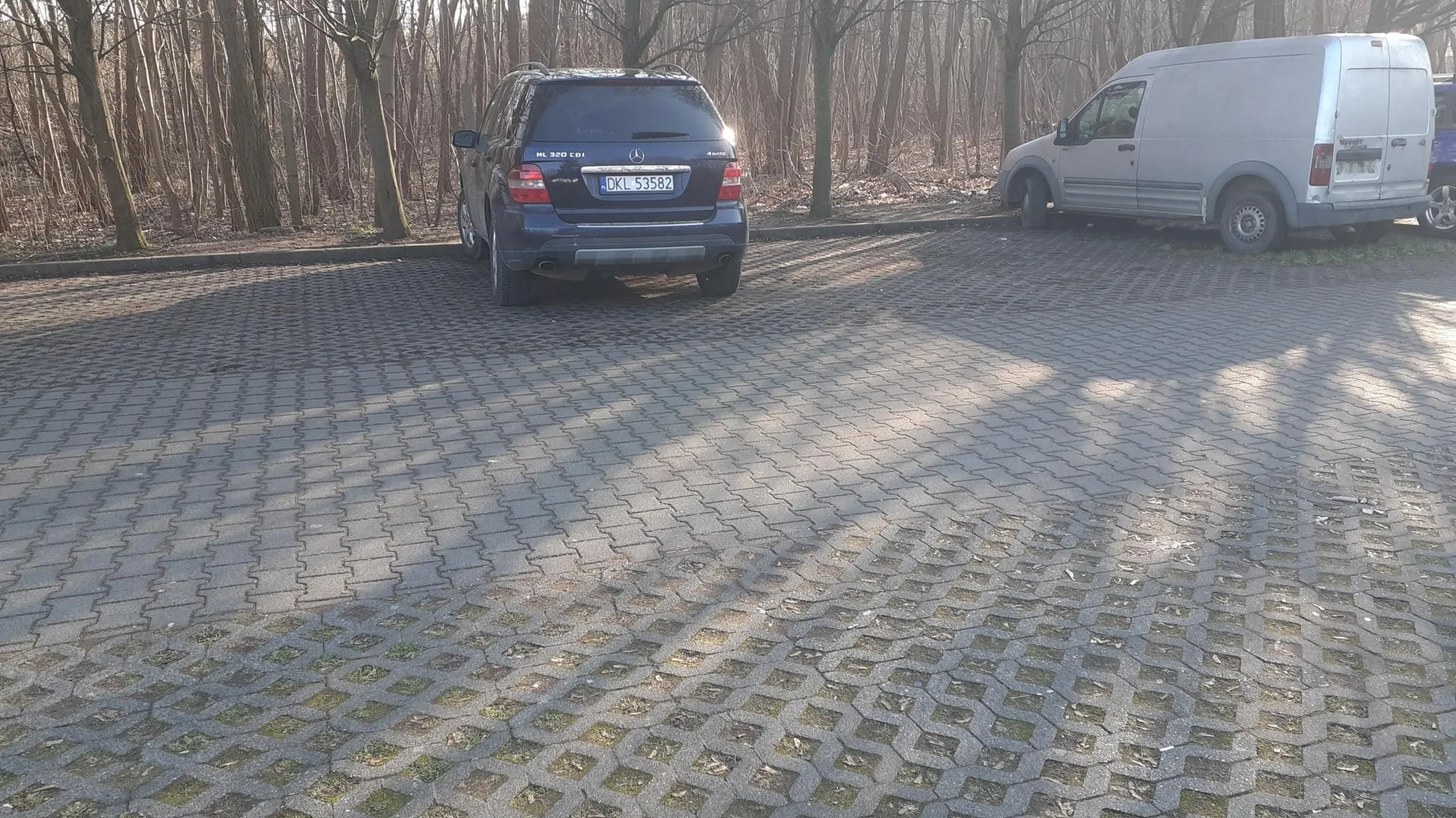 Właściciel to dewiant