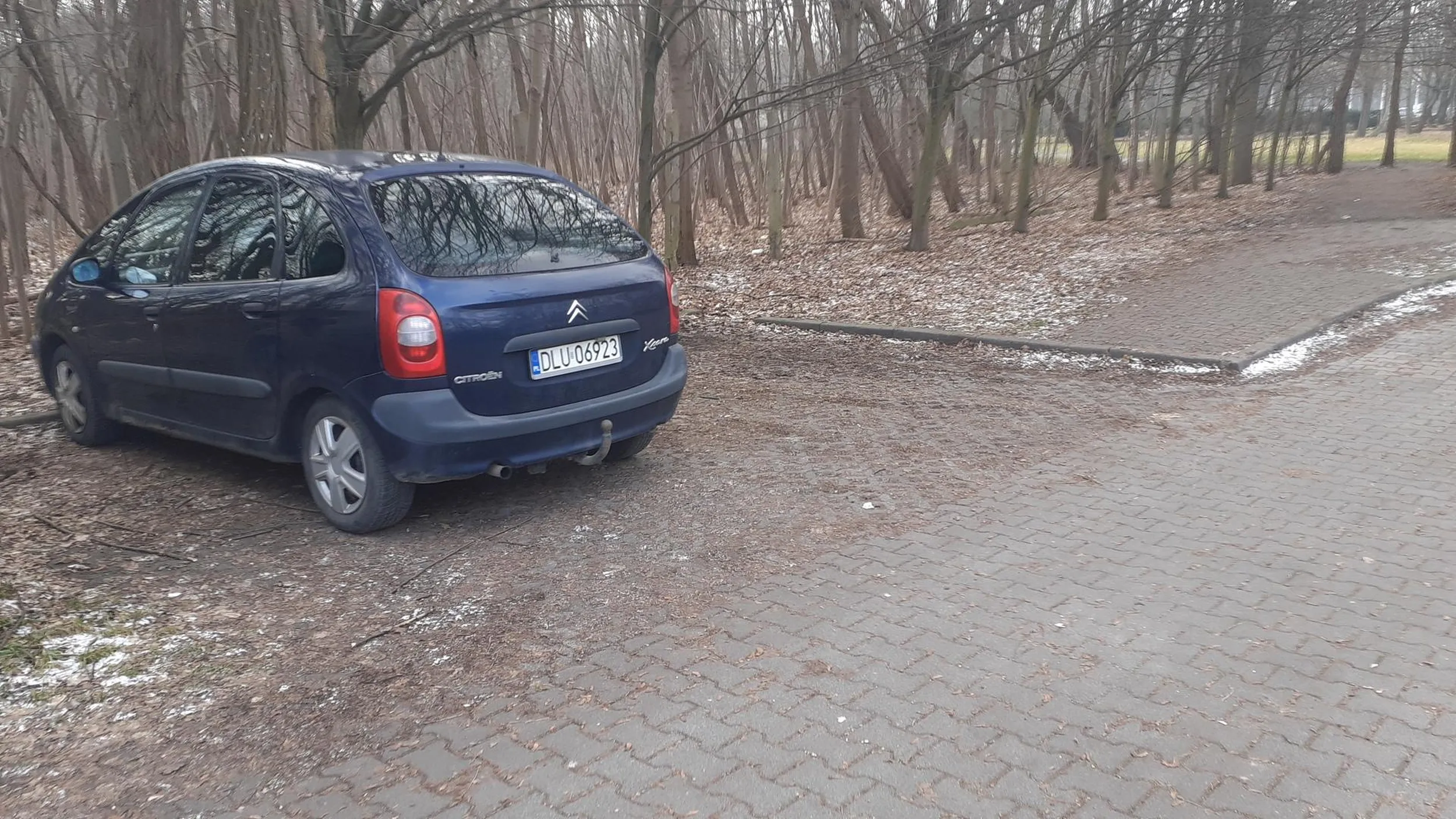 Podpalacz. Widziany na ul. Adama Mickiewicza 19 w parku za parkingiem jak podpalał opuszczony budynek.