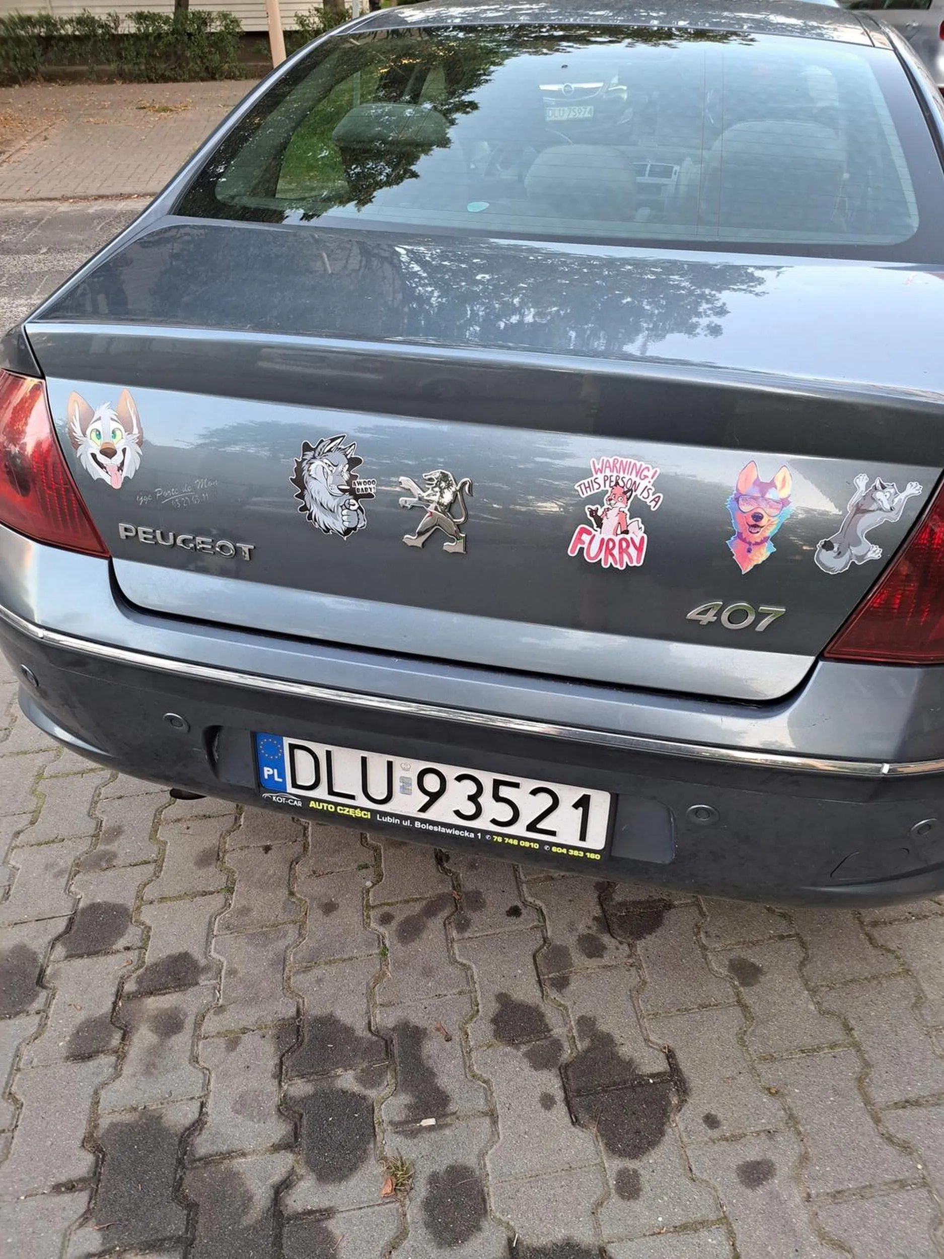 Typowy posiadacz peżo