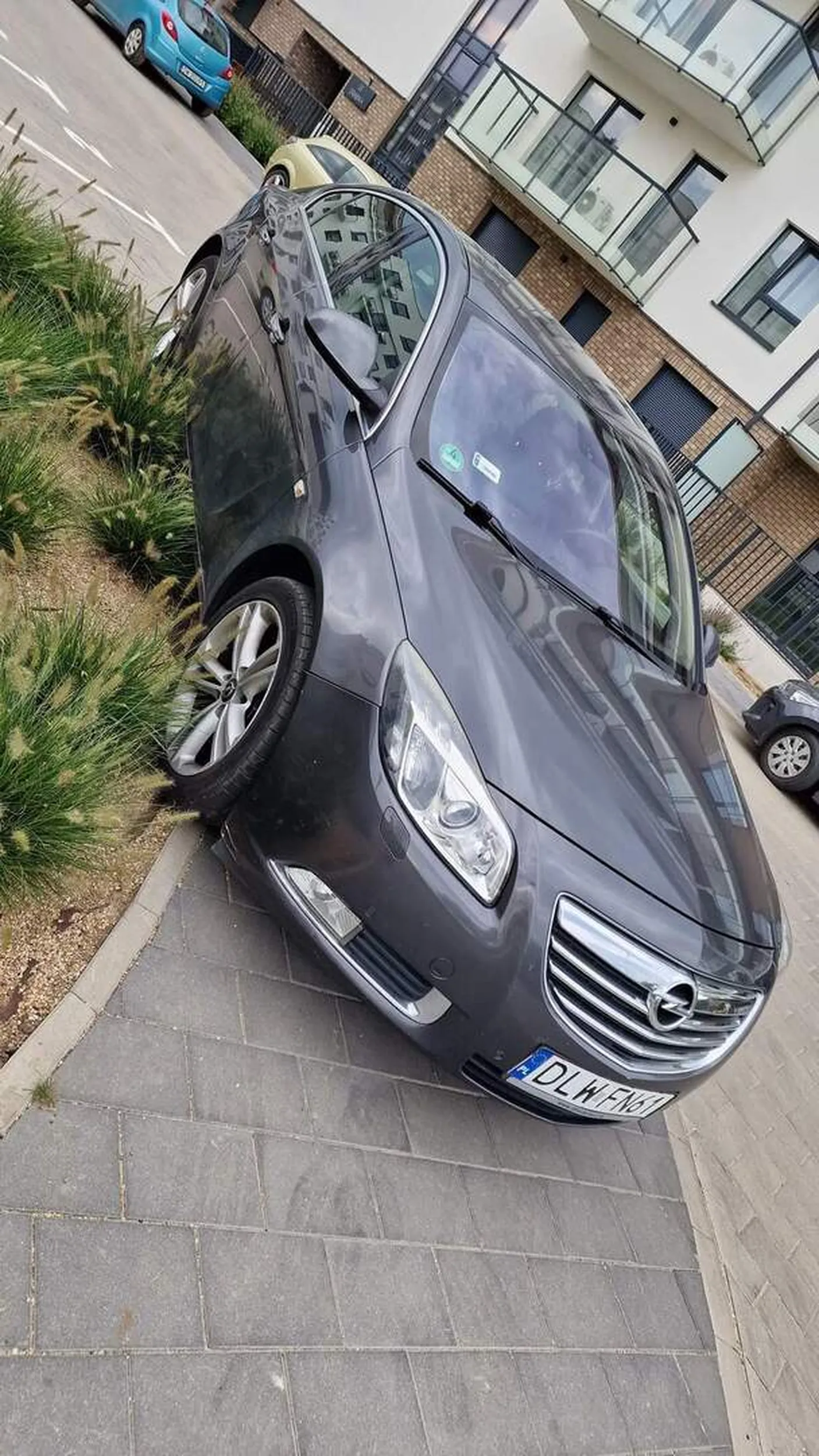 Generalnie kretyn. Nie dość, że parkuje w niedozwolonym miejscu to jeszcze niszczy zieleń