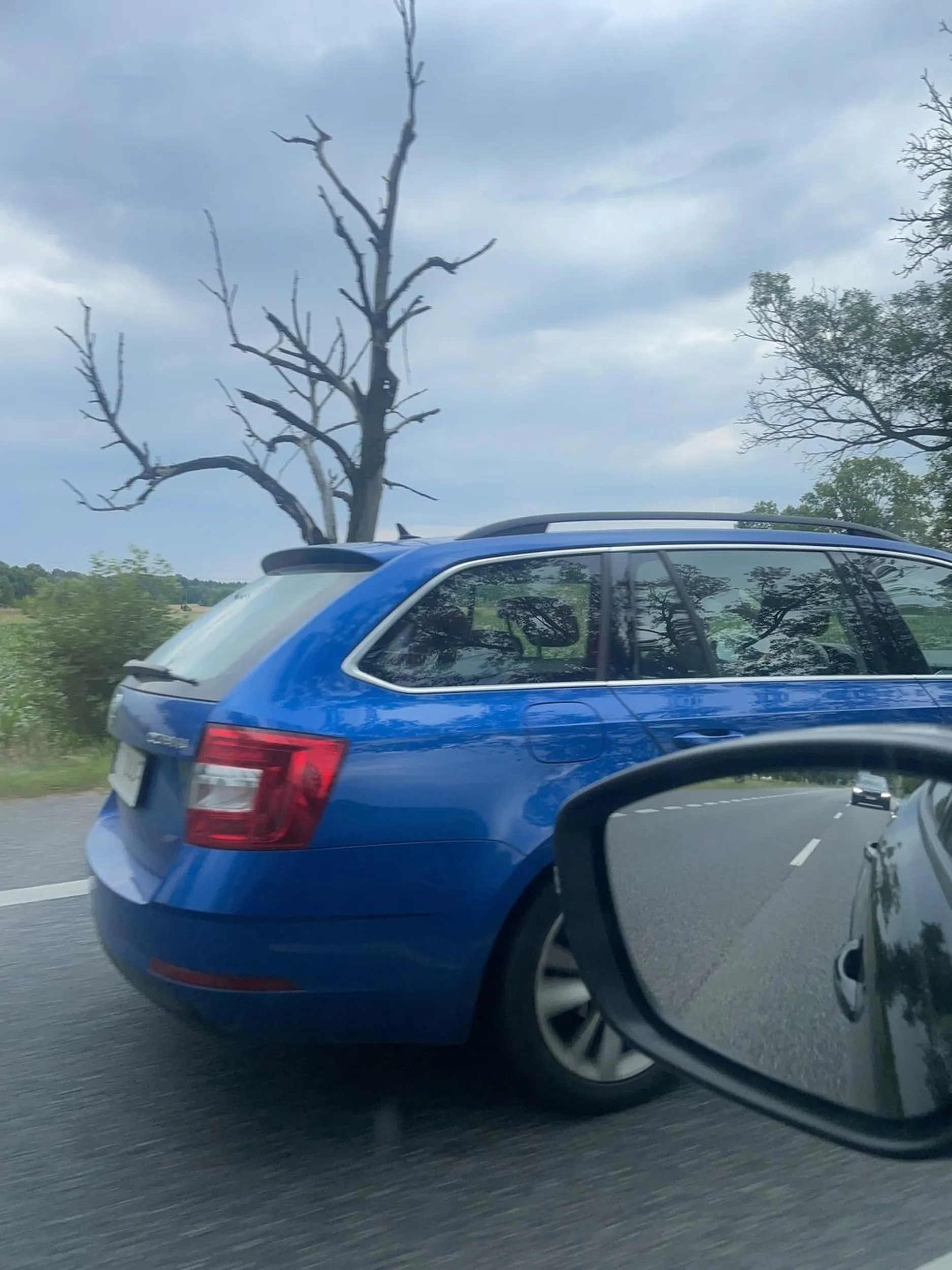 Typowy kierowca Skody… zero