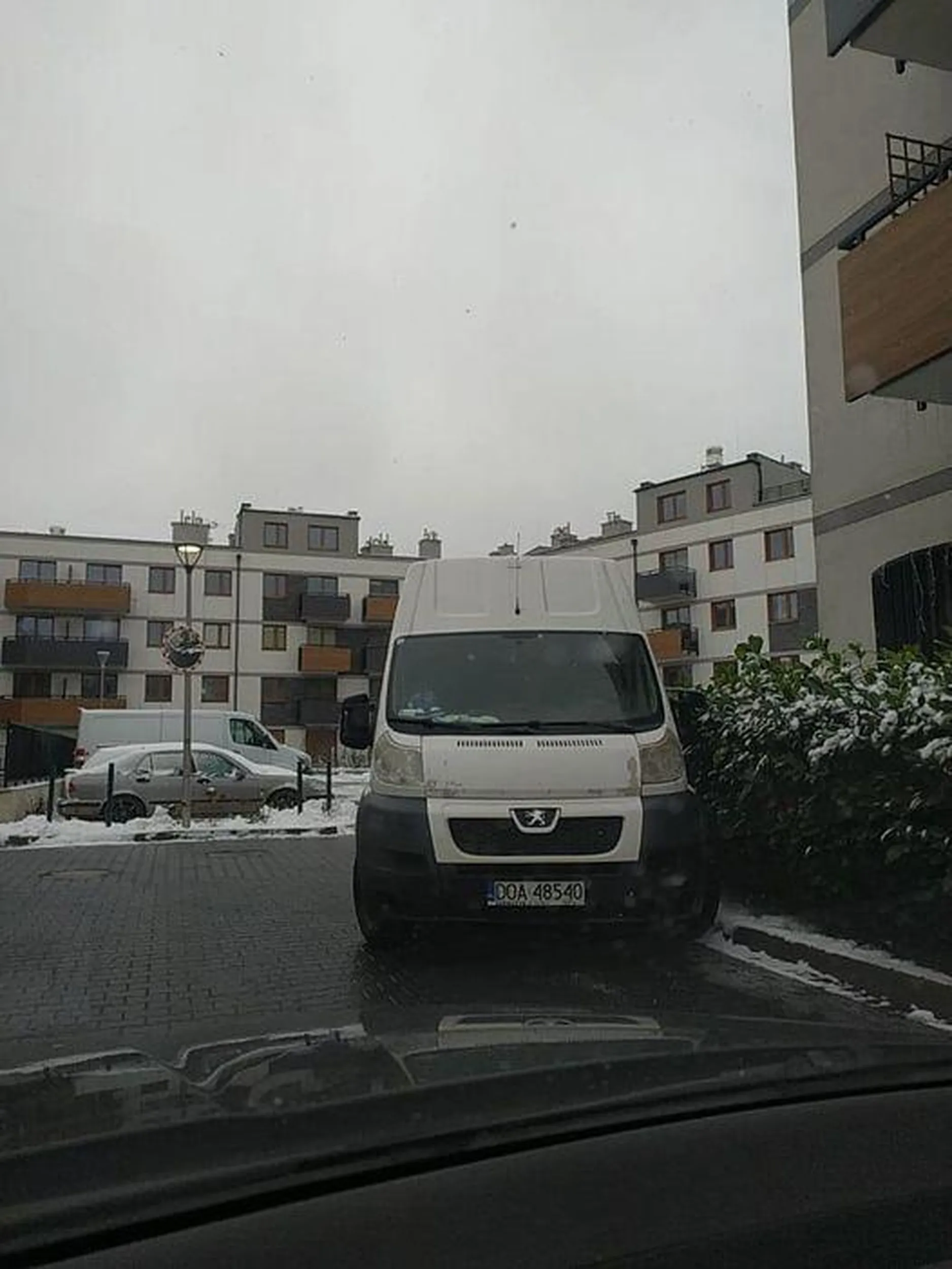 Lubi się przytulać do krzaków