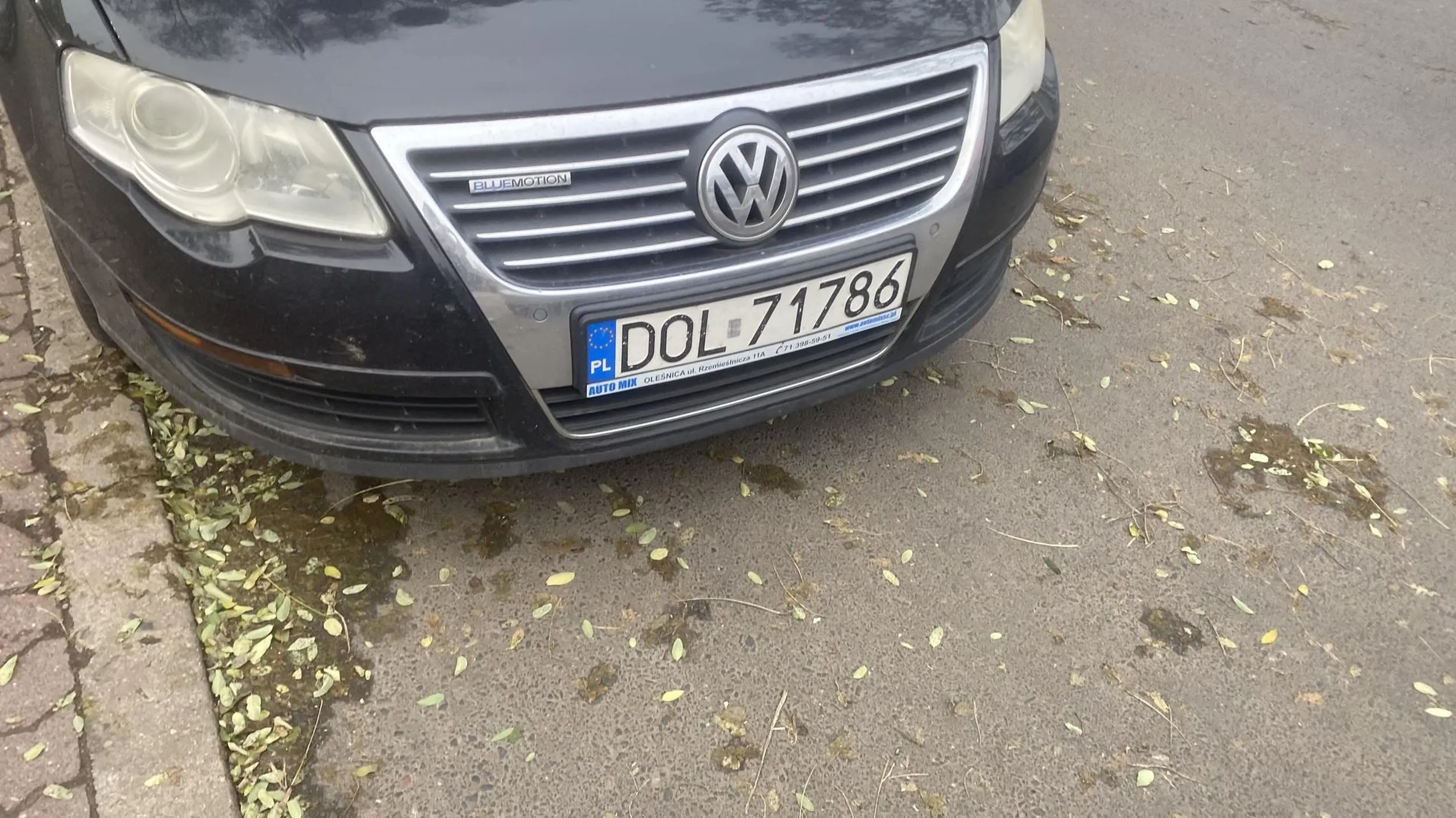 Brak jakiegokolwiek umiejętności jazdy, zaparkował imbecyl na wjedzie.