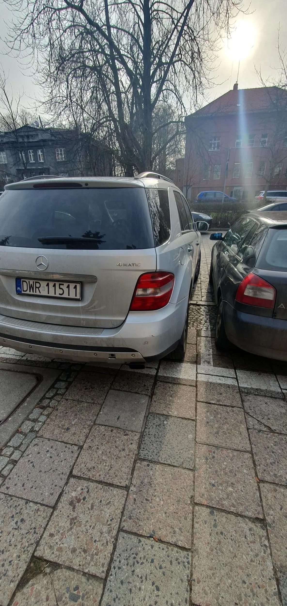 Mistrz/Mistrzyni parkowania. Strasznie szkoda mi ludzi bez funkcjonującego mózgu. Mam nadzieję, że jest dla nich specjalnie miejsce w piekle