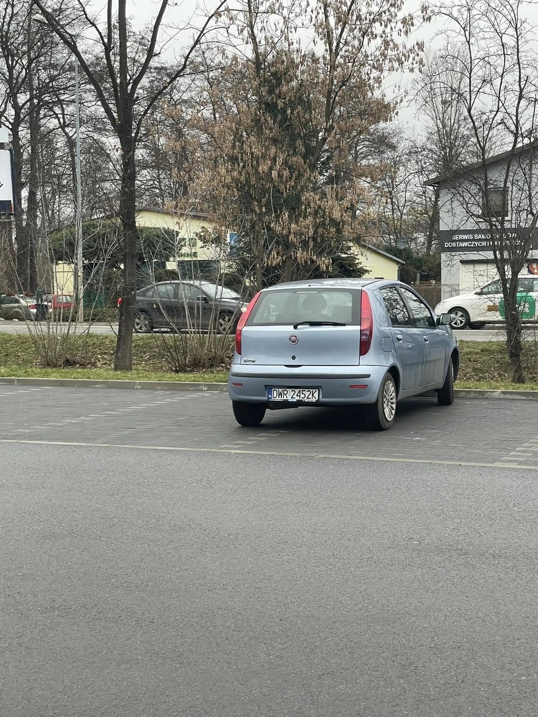 Mistrzyni parkowania