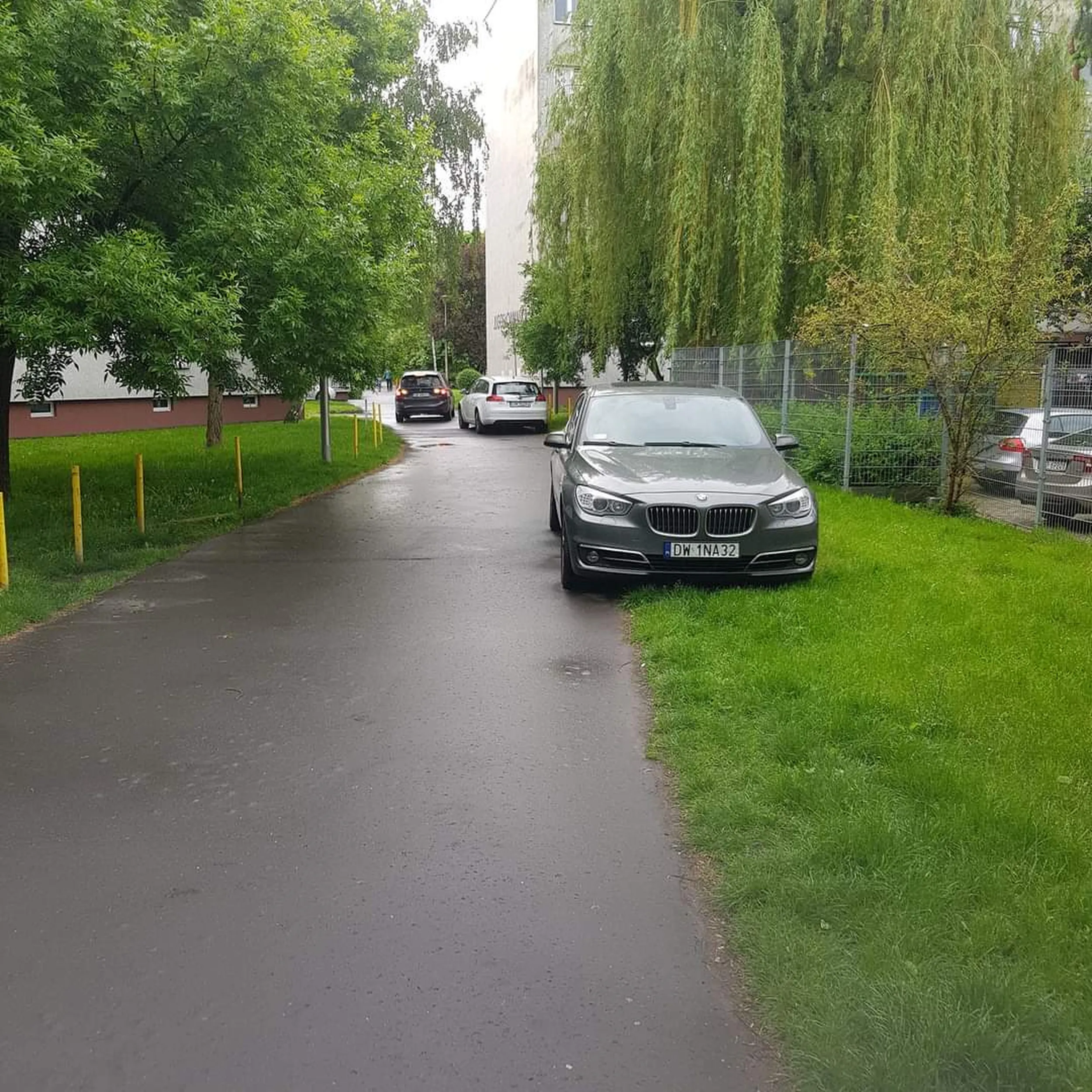 Piękne niszczenie zieleni, bo co ja będę szedł daleko do klatki..