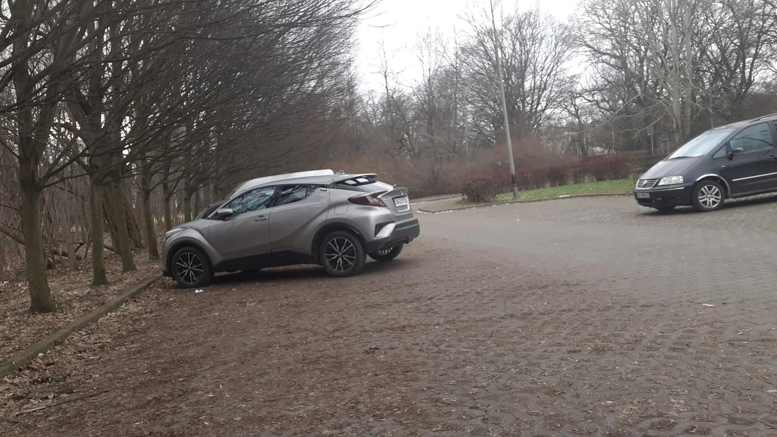 Właściciel to homoseksualista koczujący w parku za parkingiem na ul. Adama Mickiewicza 19 we Wrocławiu