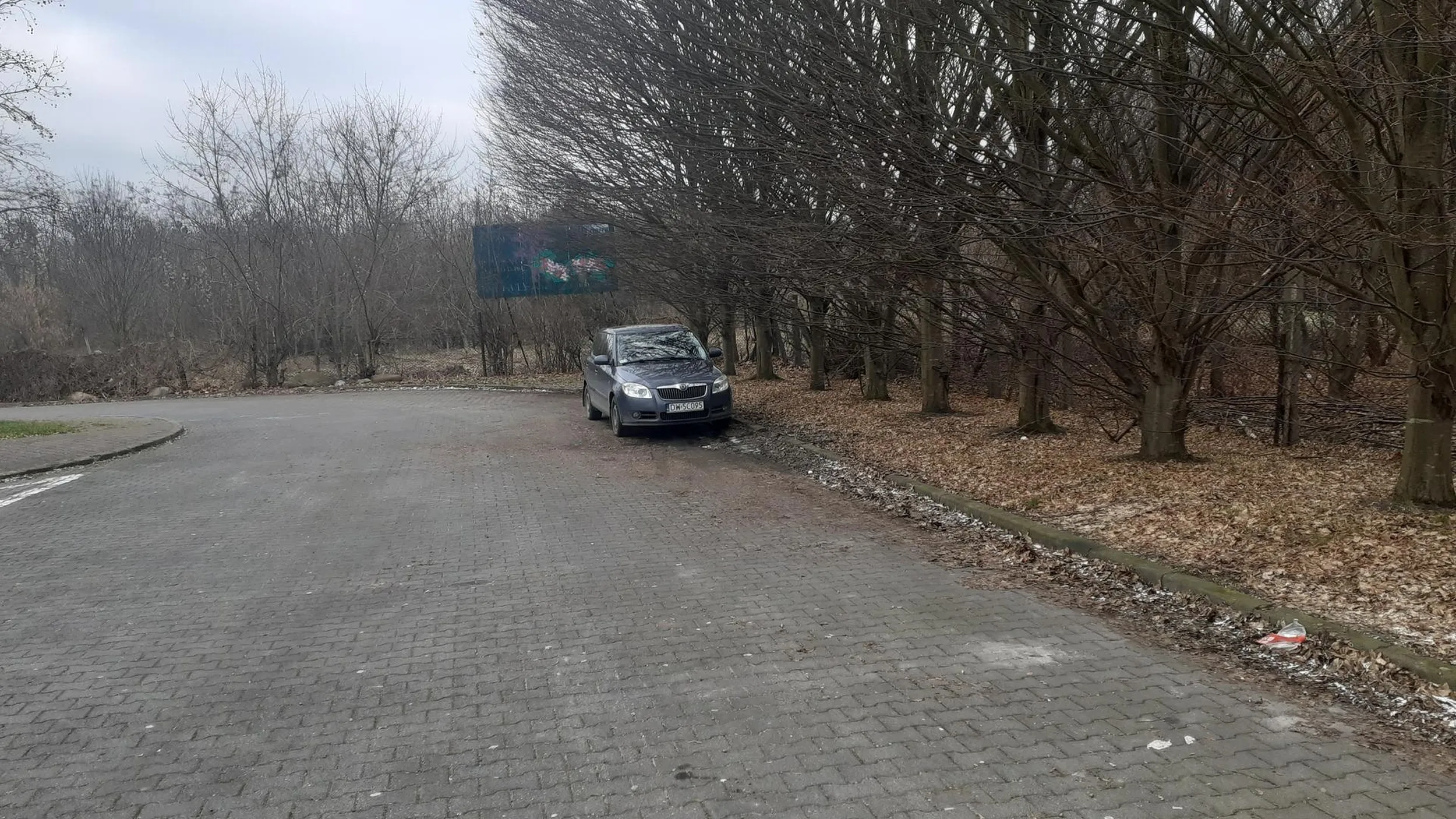 Kierowca to stary homoseksualista koczujący w parku za parkingiem na ul. Adama Mickiewicza 19 we Wrocławiu