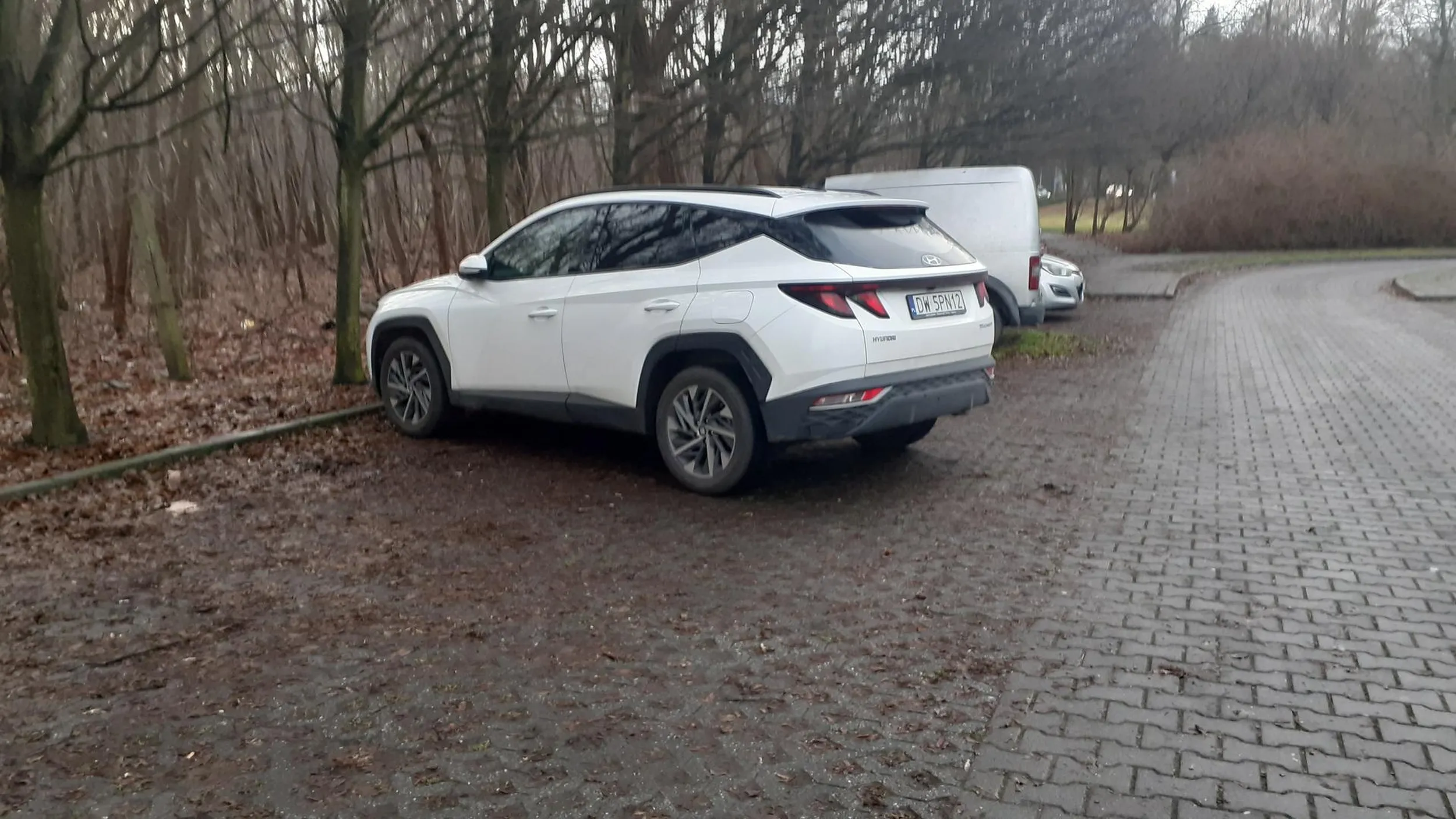 Właściciel tego auta to homoseksualista nagabujący chłopców w parku za parkingiem na ul Adama Mickiewicza 19 we Wrocławiu.