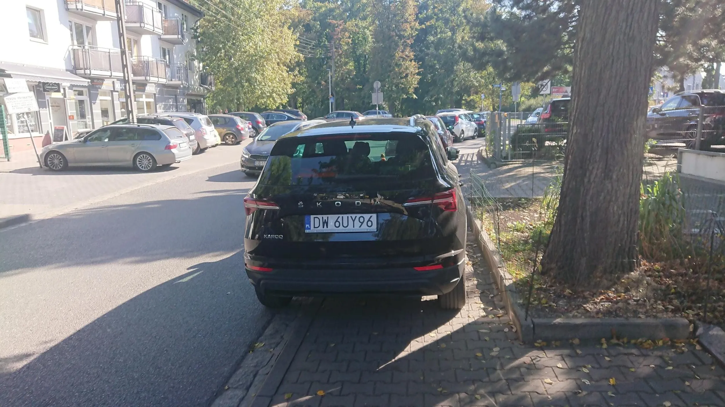 Brawa dla mistrza - pokazał, jak to się robi! 10 centymetrów od krawężnika - mysz się nie prześliźnie!