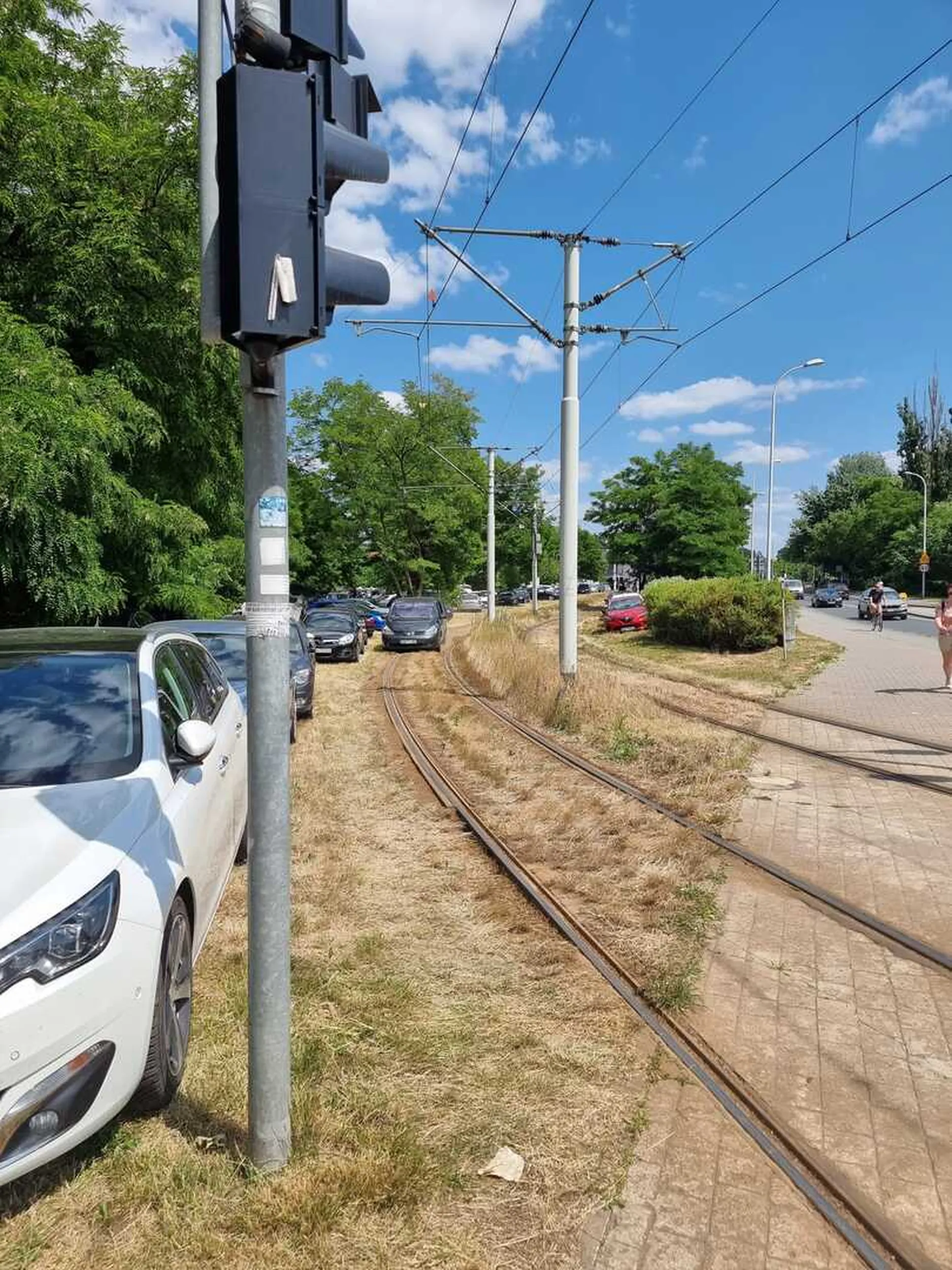 jedzie torami tramwajowymi i na czerwonym (dla tramwaju) przecina przez pasy prawie potrącając przechodzących pieszych i rowerzystów - karny kutas za głupotę dla niego to za mało