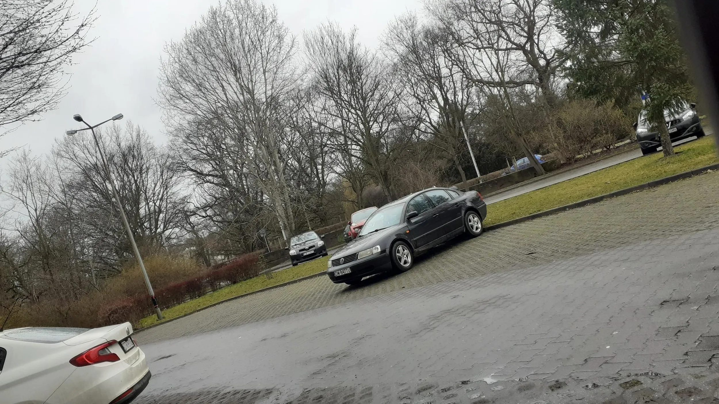 Właściciel tego auta to homoseksualista nagabujący chłopców w parku na ul. Adama Mickiewicza 19 we Wrocławiu