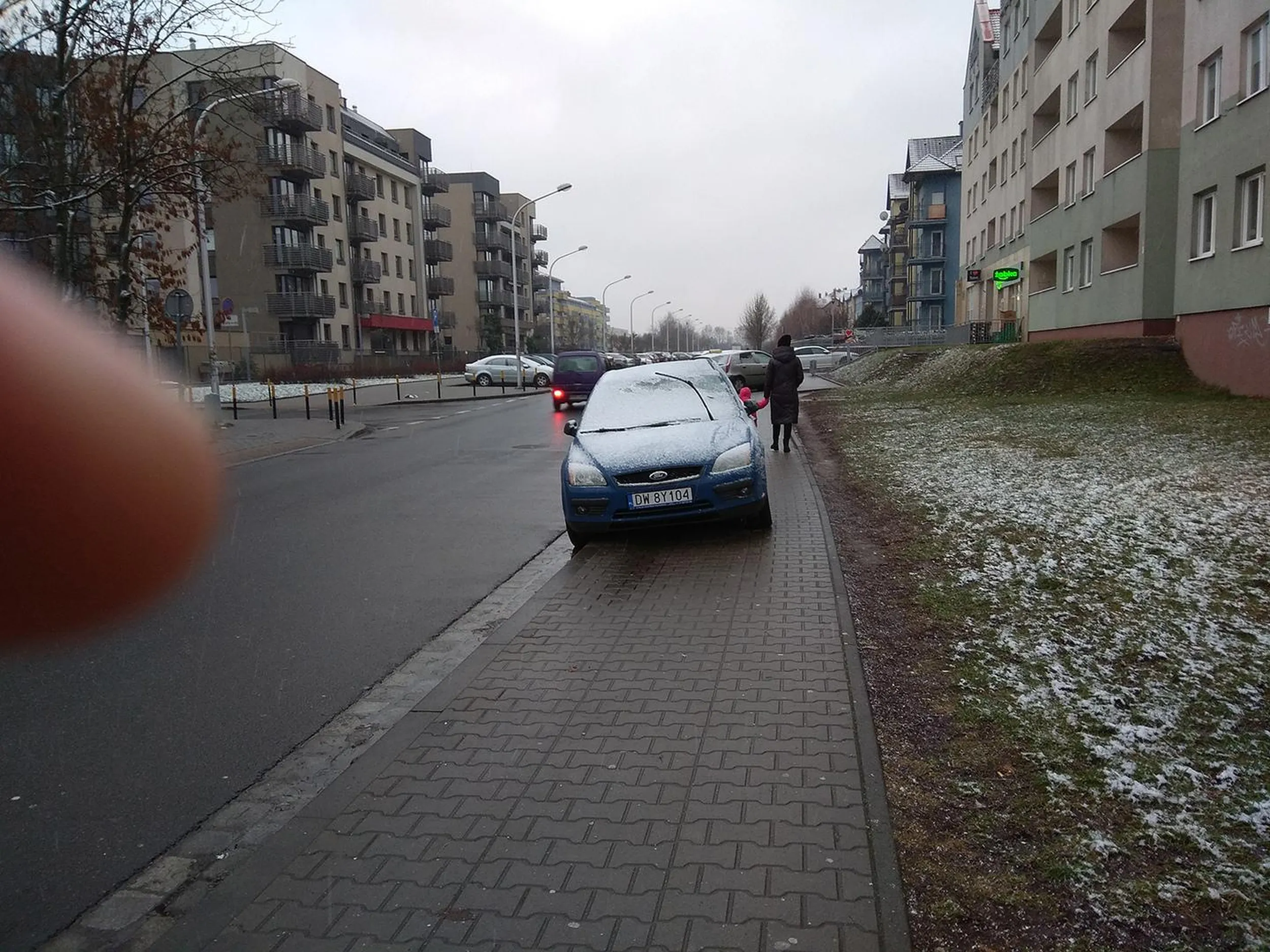 Rozum został w domu