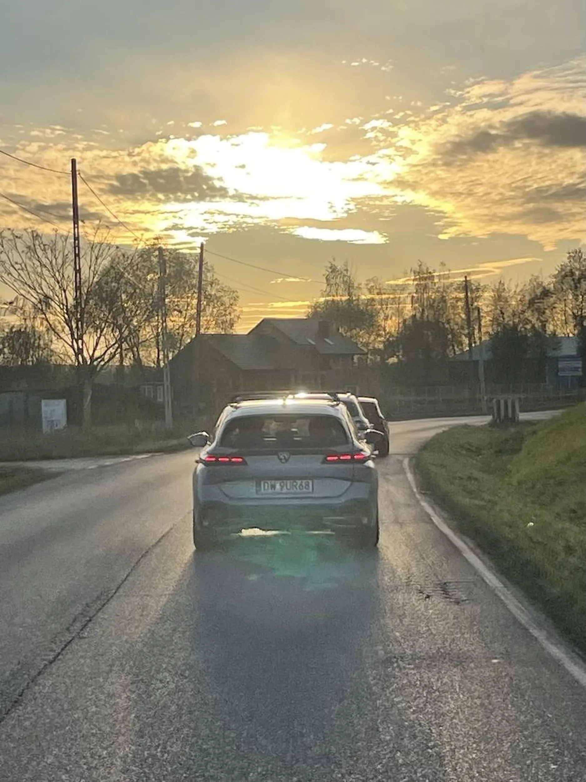 tępy kasztan wymusza pierwszeństwo przed rozpędzonym rowerem
