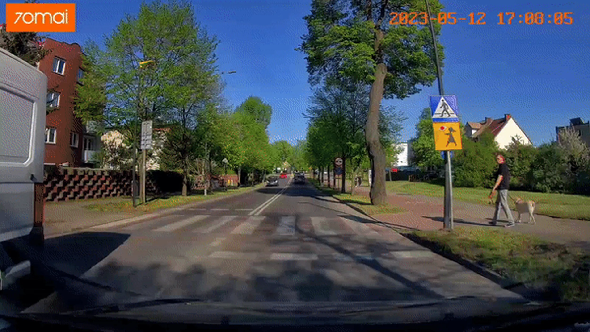 Gdy jeden pojazd się zatrzyma by przypuścić pieszego to drugi samochód nie musi, bo po co? A na co to komu?