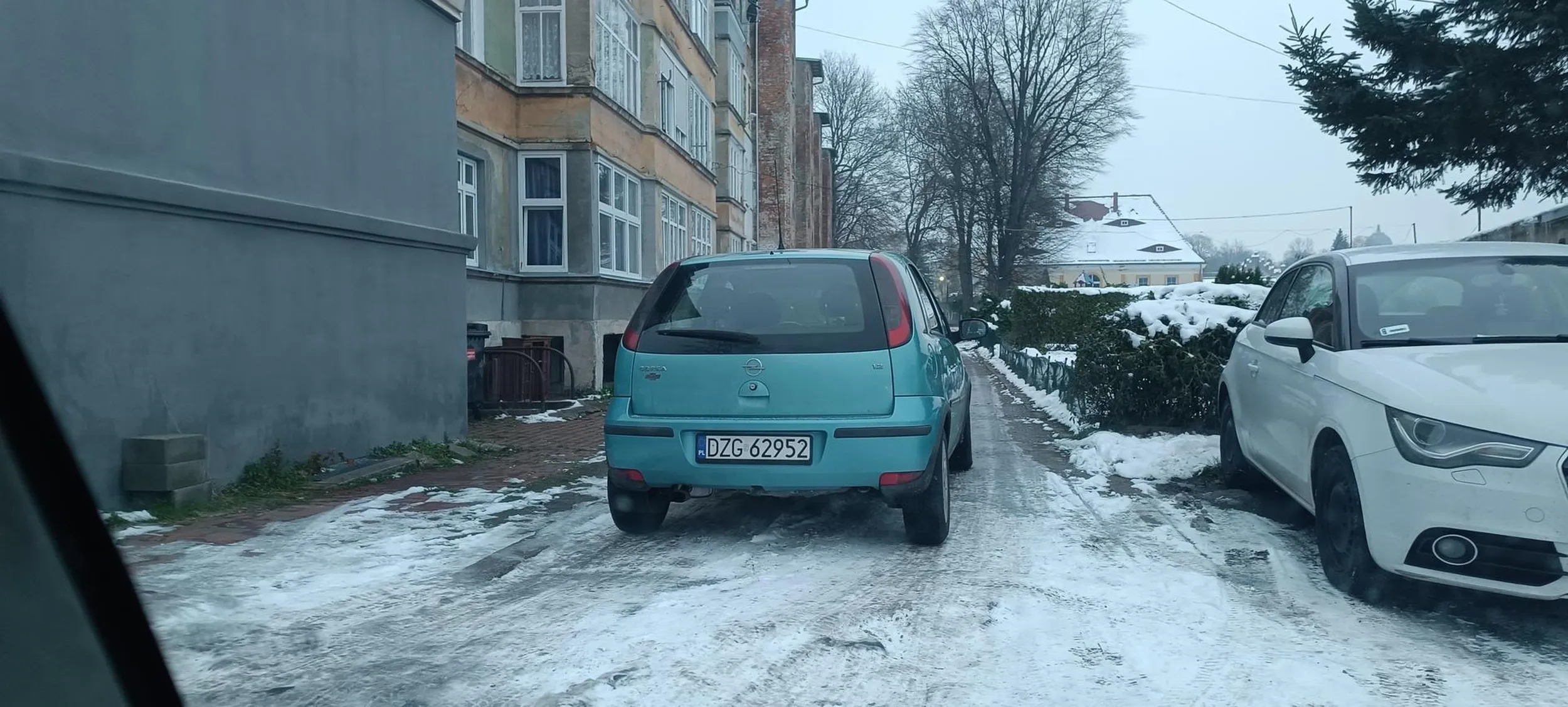 Ćwierć mózg to mało powiedziane