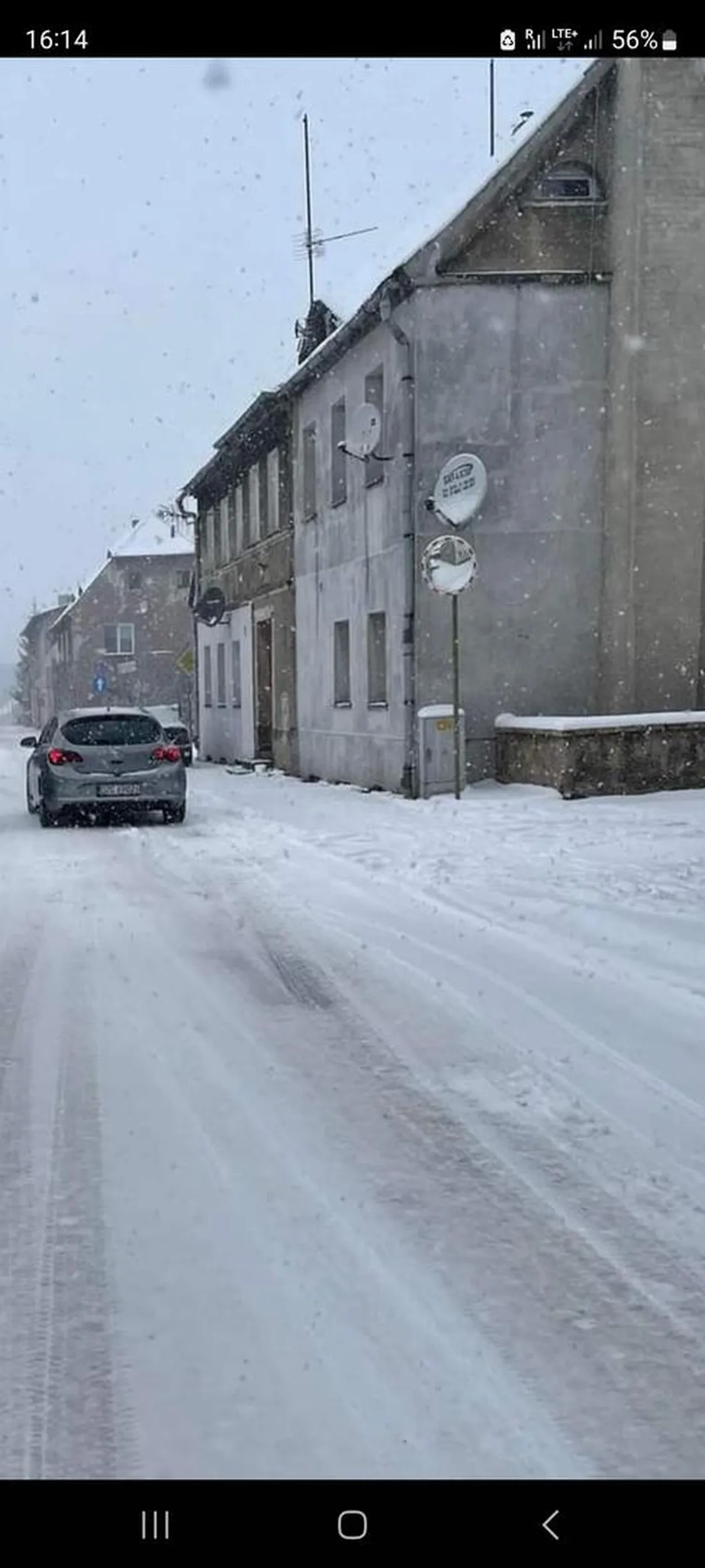 Potrąciła psa i odjechała!