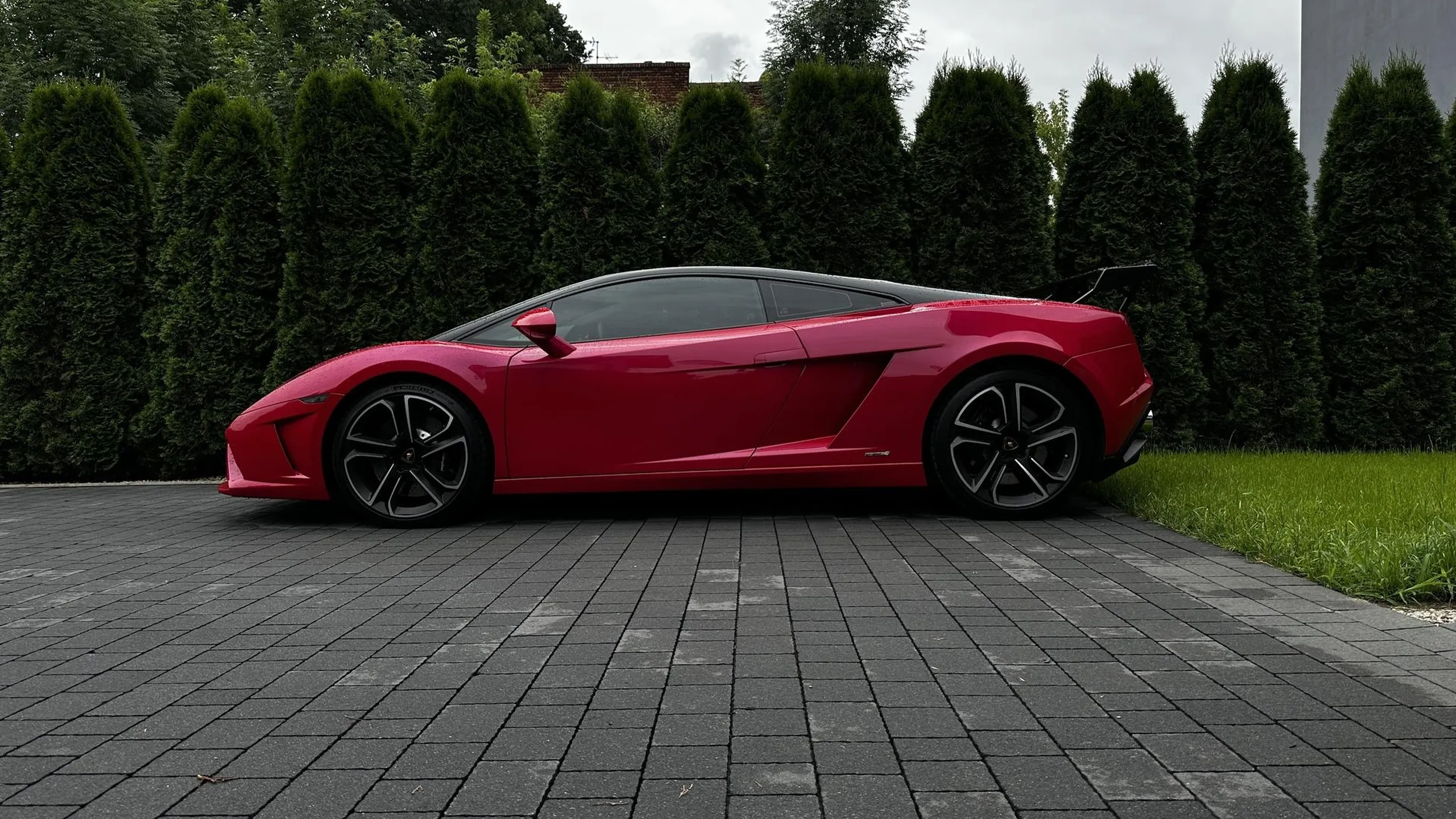 Widziano w Pabianicach