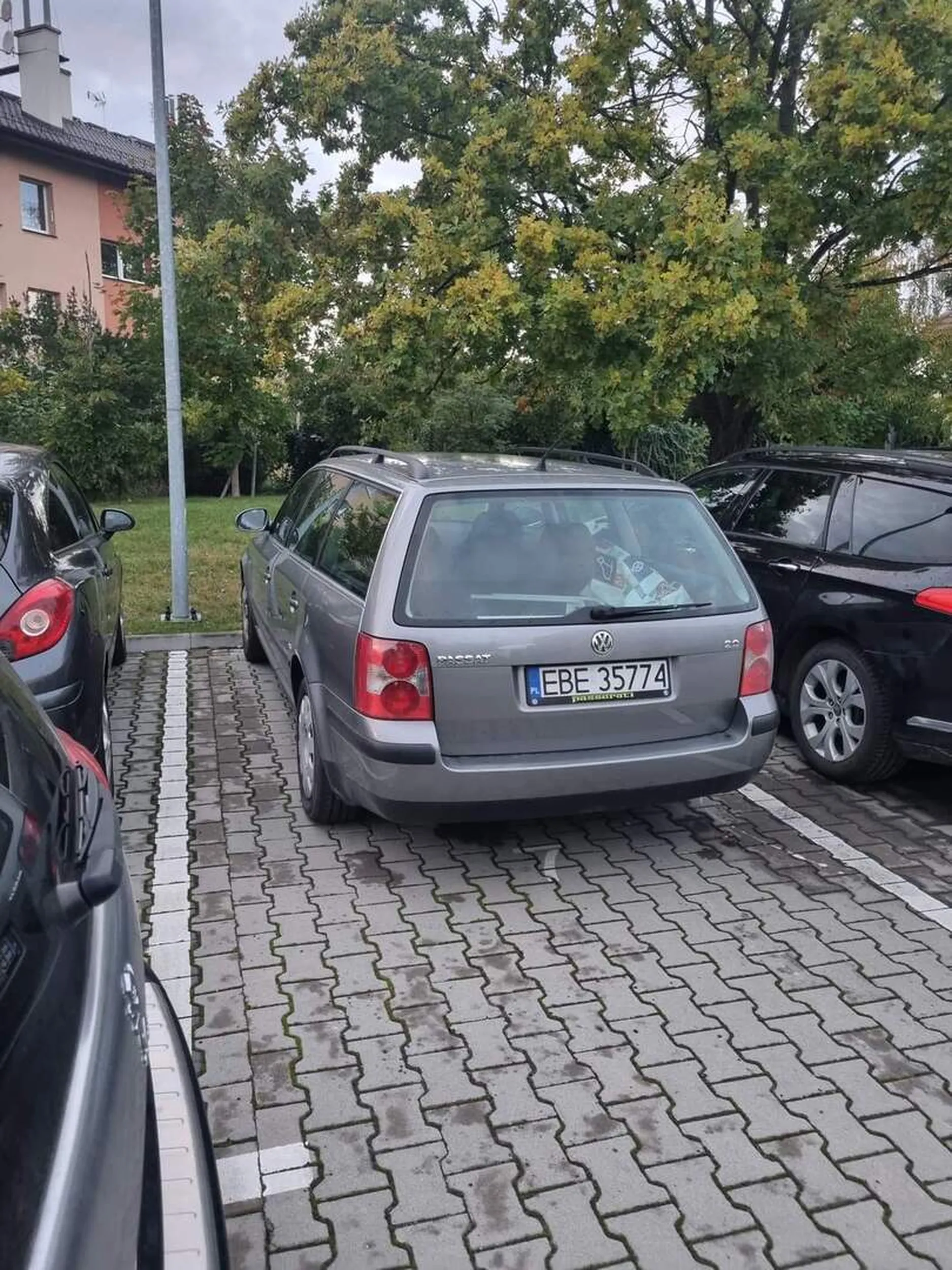 Parkuję baran na nieswoim miejscu.