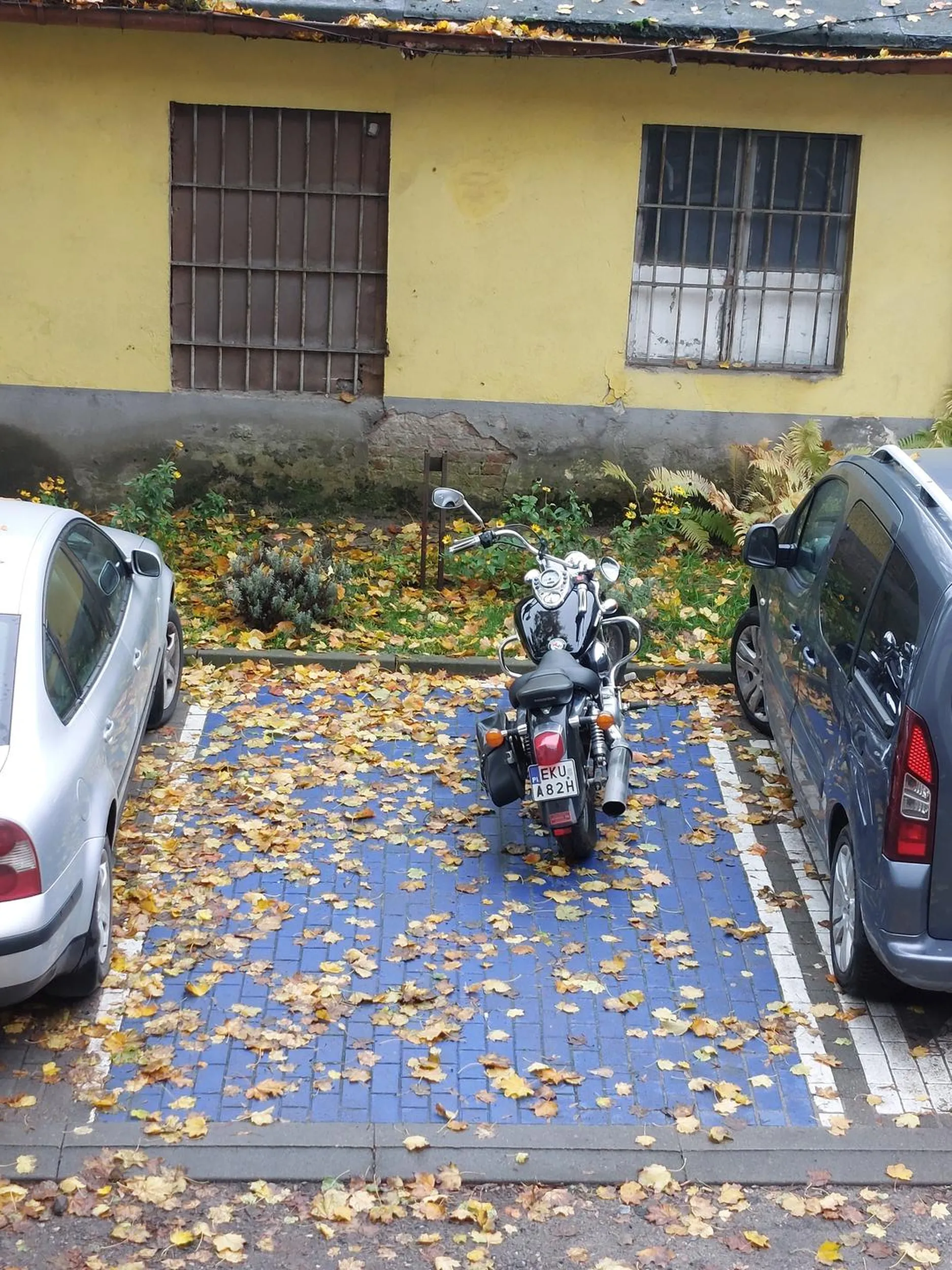 Szalony skuter kid nie uważa na drodze, parkuje na miejscu dla nie pełnosprawnych