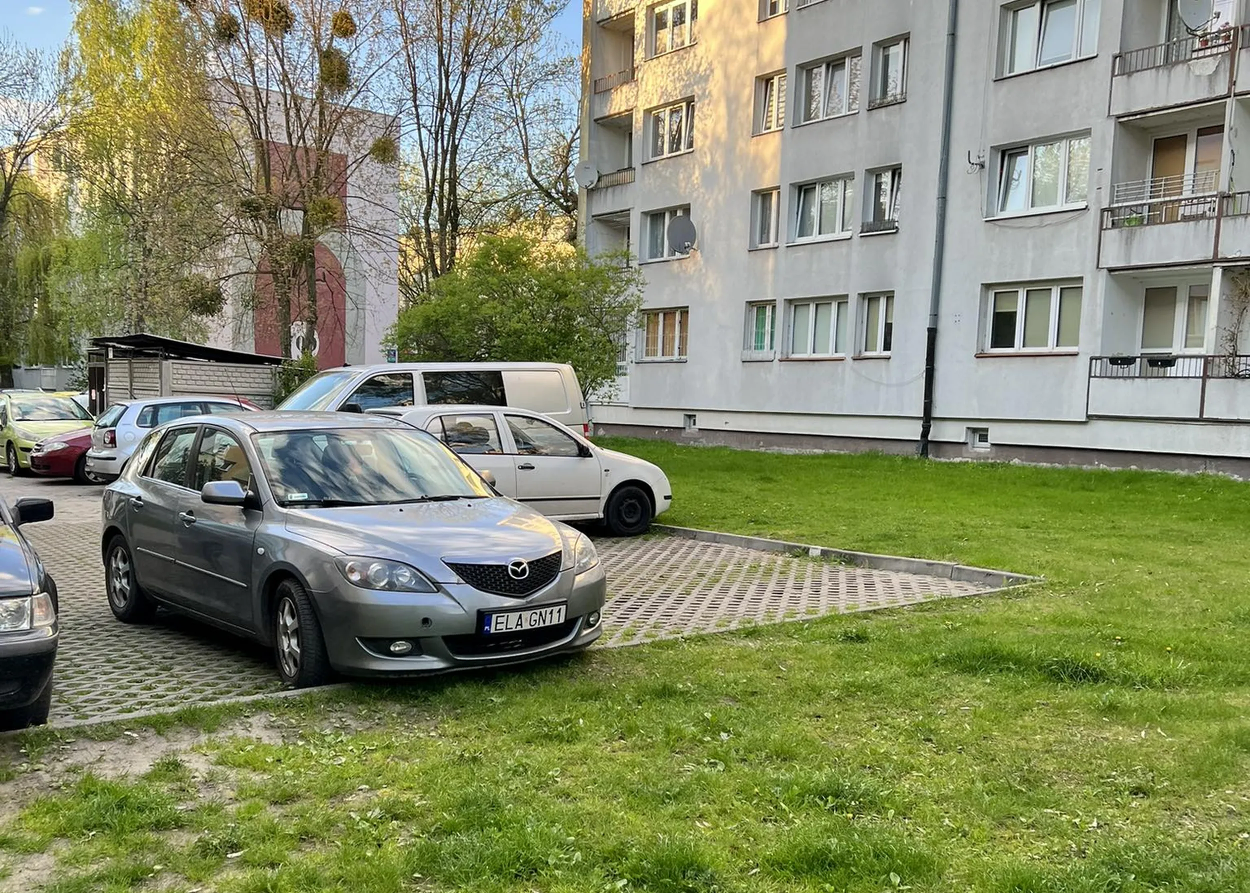 Gratuluję tej osobie parkowania, zakładam, że samochody (jeśli tam jakieś stały) wyjechały po trawie. Dodatkowo blokowanie dwóch miejsc. I nie - nie stanął tylko na chwilę ;)