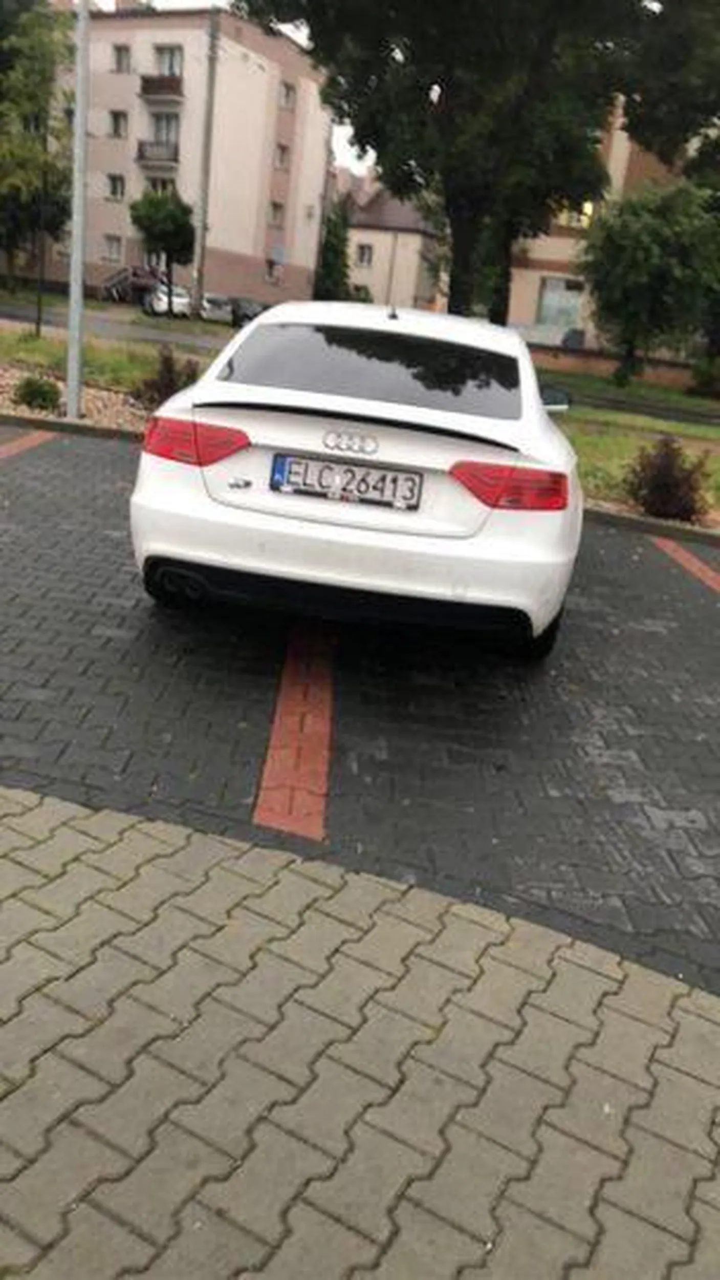 Pół człowiek, pół ślepy, pół głupi. Prawo jazdy wygrane w chipsach. Prawdopodobnie tanich.