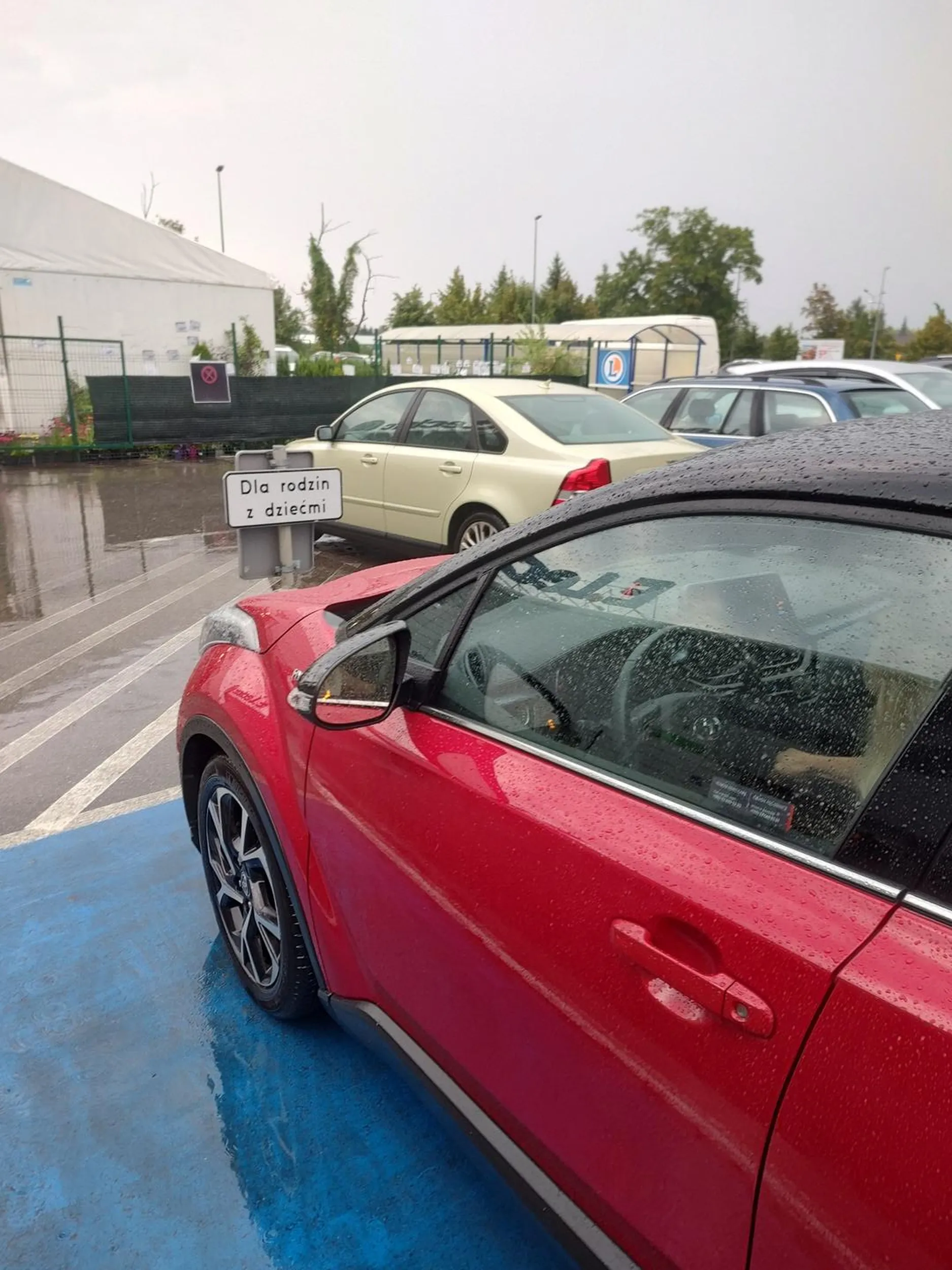 Mam nadzieję, że to jedyne miejsce gdzie zginęła Pani "rodzina z dziećmi" i wcięcie się na miejsce parkingowe było tego warte :) Czytanie nie boli, a przestrzeganie podstawowych praw i norm to bazowa kultura osobista, której jak widać brak.