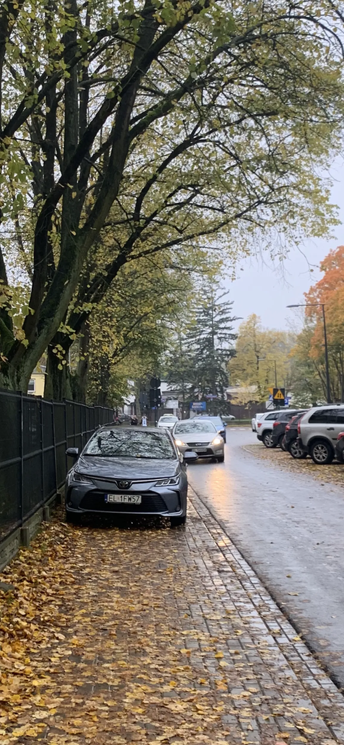 Kierowca zaparkował po całej szerokości chodnika w Łodzi przy Osobliwej obok Bonifratrów. Totalny absurd.