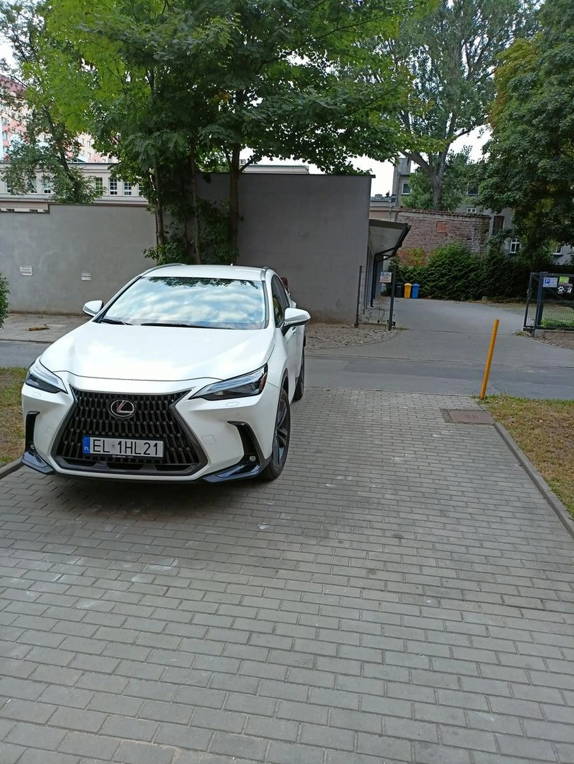 Parkowanie na chodniku. Sytuacja powtarza się codziennie.