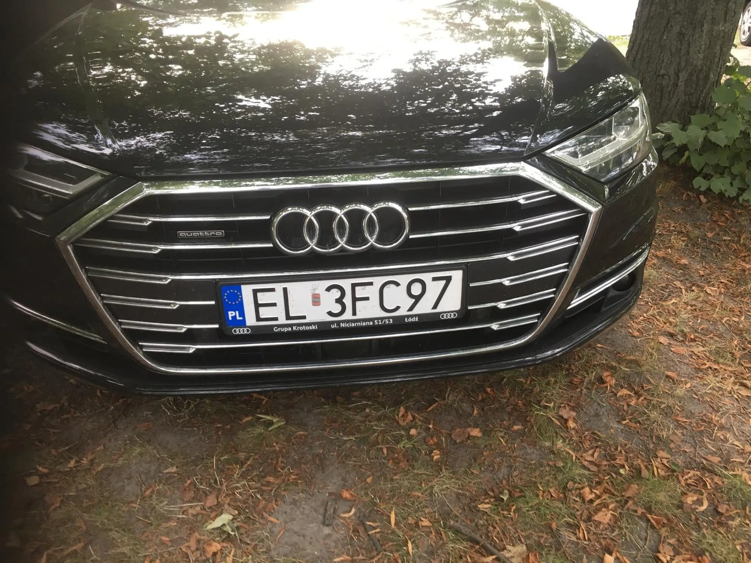 Stwierdził, że roślin nie ma .Nie zatrybił , że to przez takich jak on. Aquapark Fala Łódź