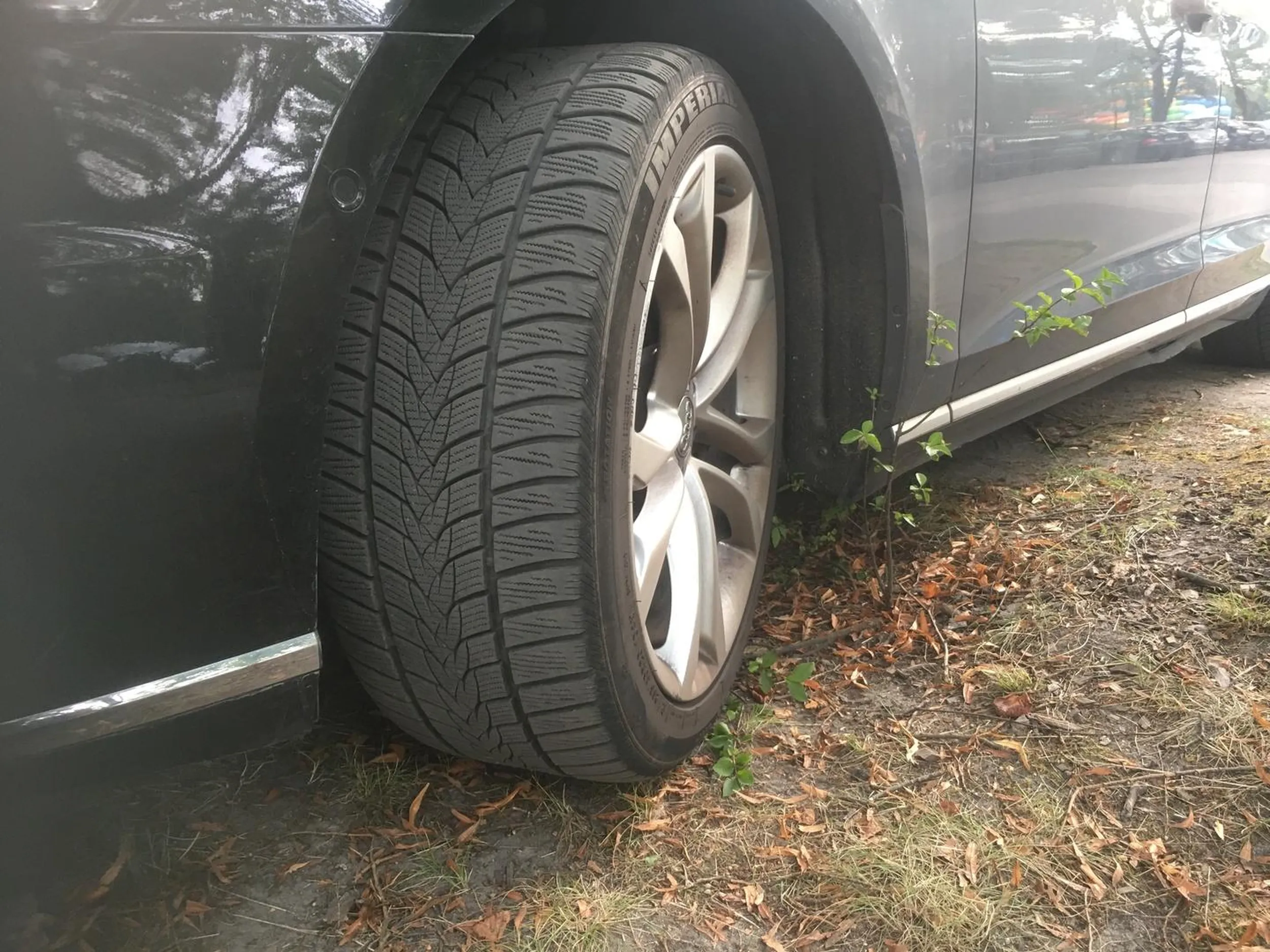 Stwierdził, że roślin nie ma .Nie zatrybił , że to przez takich jak on. Aquapark Fala Łódź
