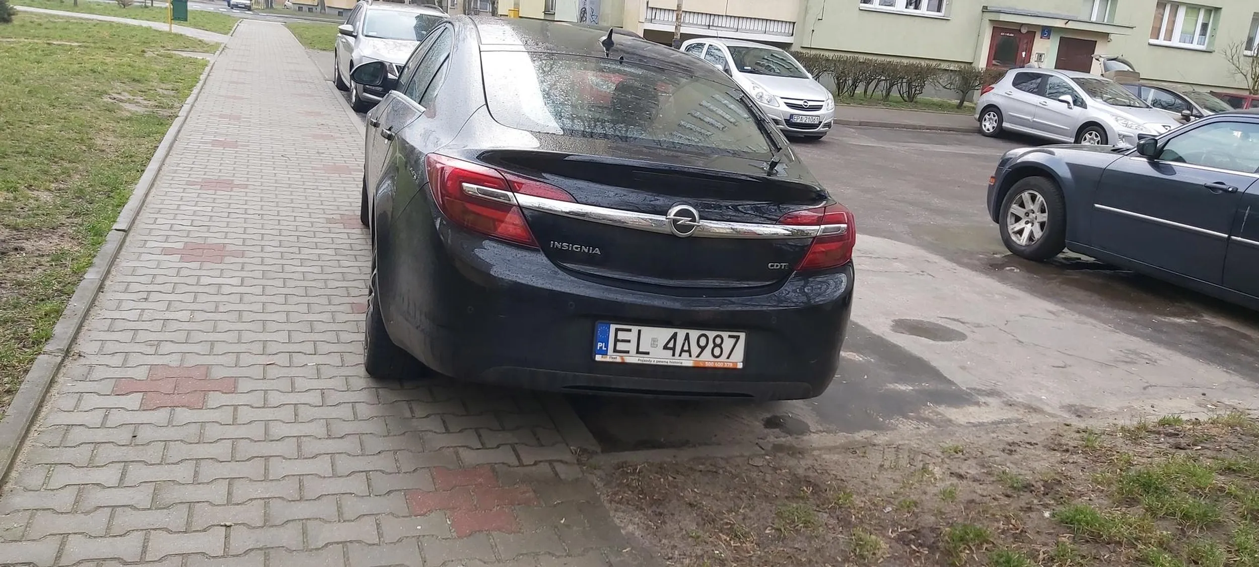 Manewrowala kilkanascie razy az w koncu Paniusia sie poddala zabrala pieska pod pache i sobie poszla