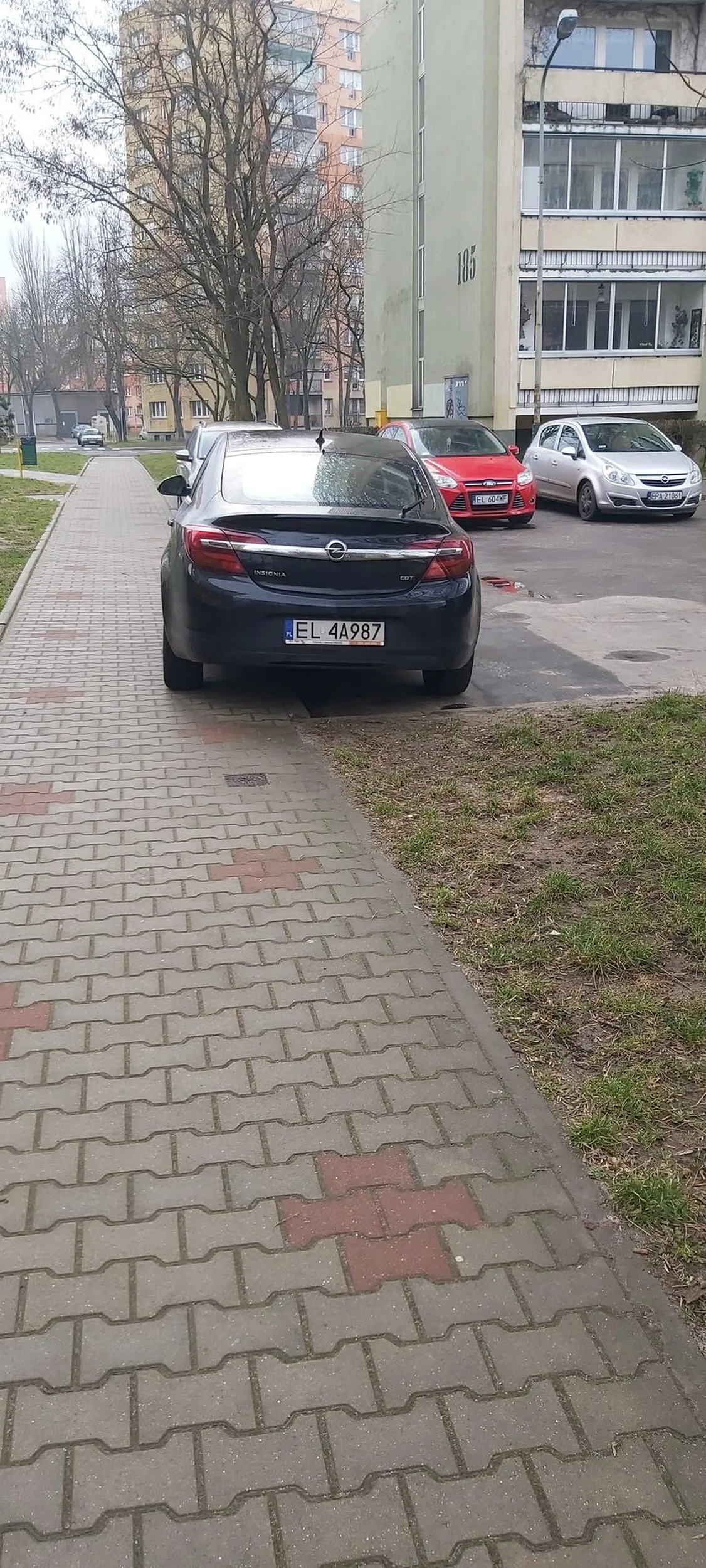 Manewrowala kilkanascie razy az w koncu Paniusia sie poddala zabrala pieska pod pache i sobie poszla