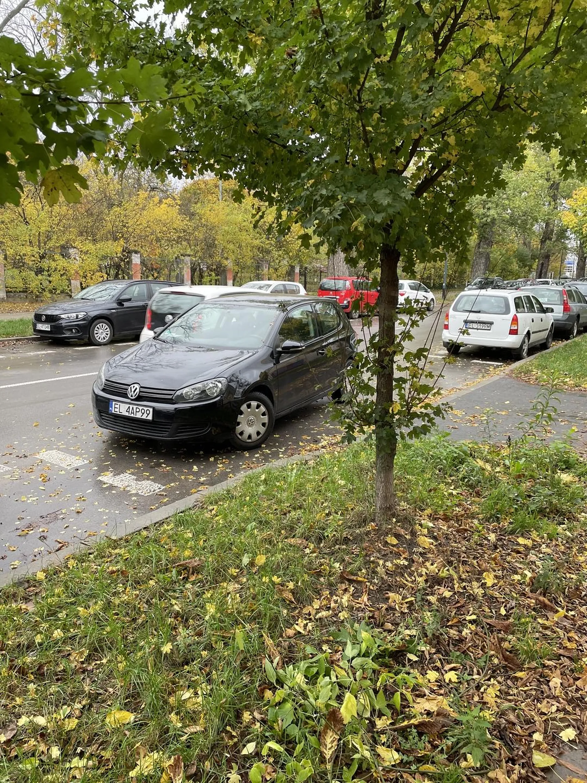 Mistrz parkowania…