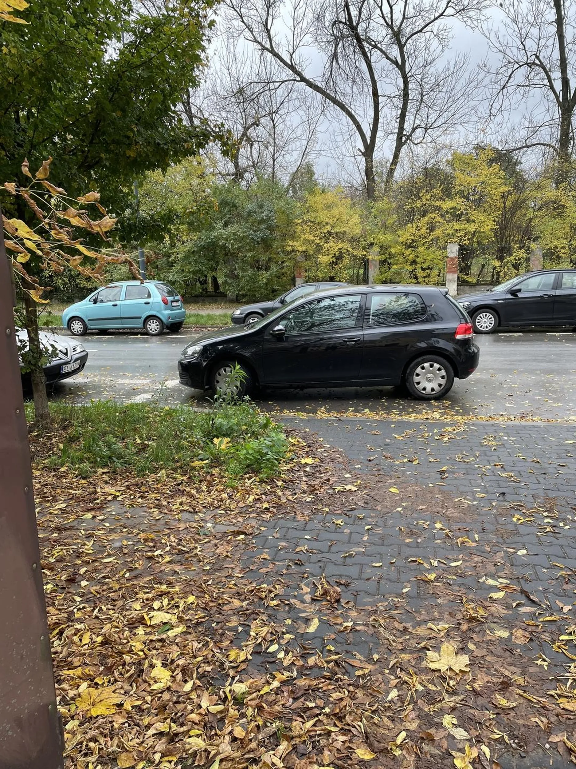 Mistrz parkowania…