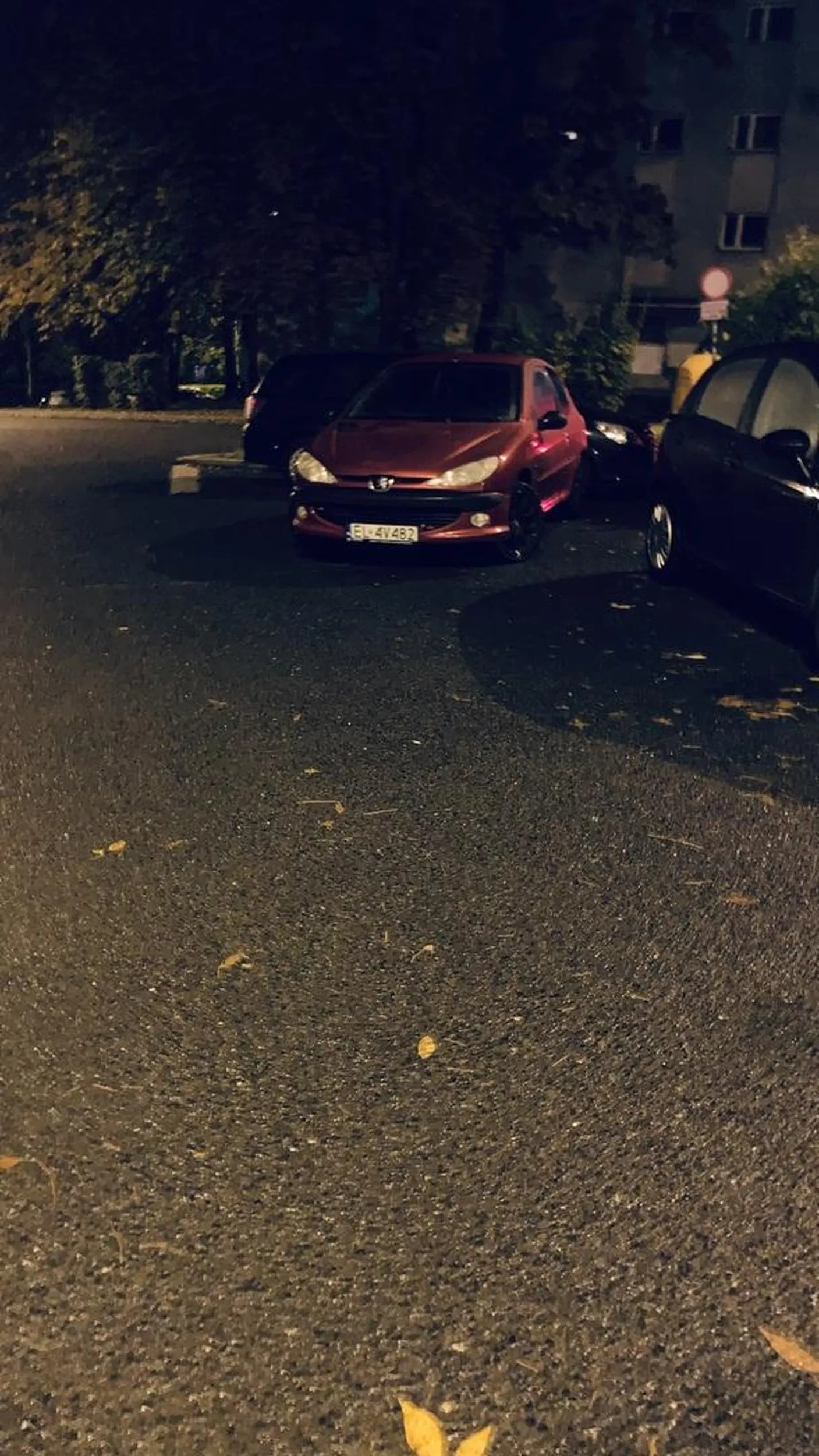 Mistrz lub mistrzyni parkowania. Brak słów.