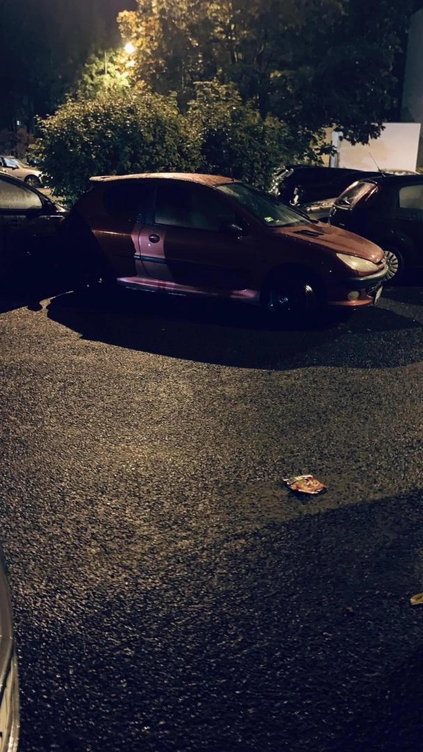 Mistrz lub mistrzyni parkowania. Brak słów.