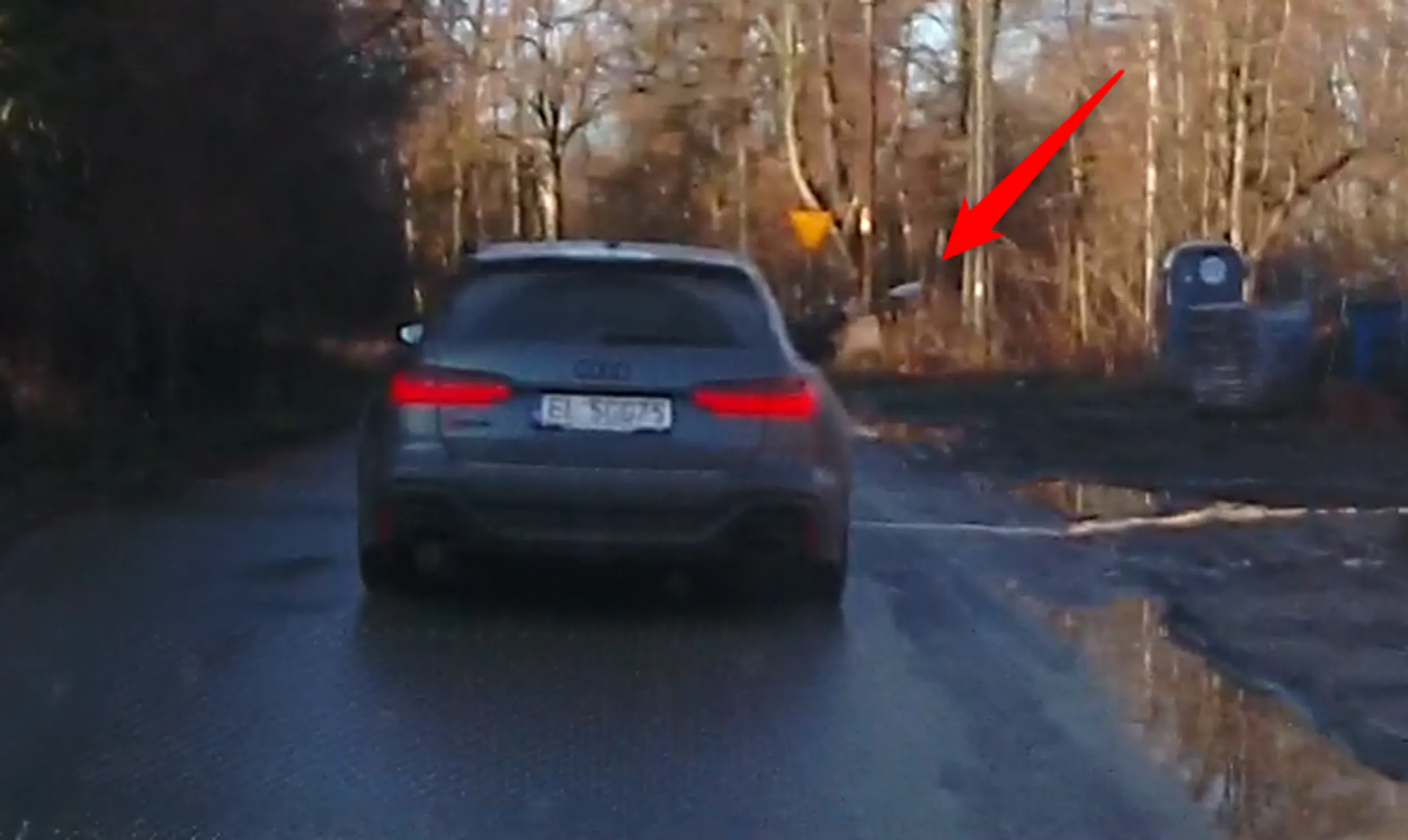 śmieciarz nieumiejący korzystać z kierunkowskazów