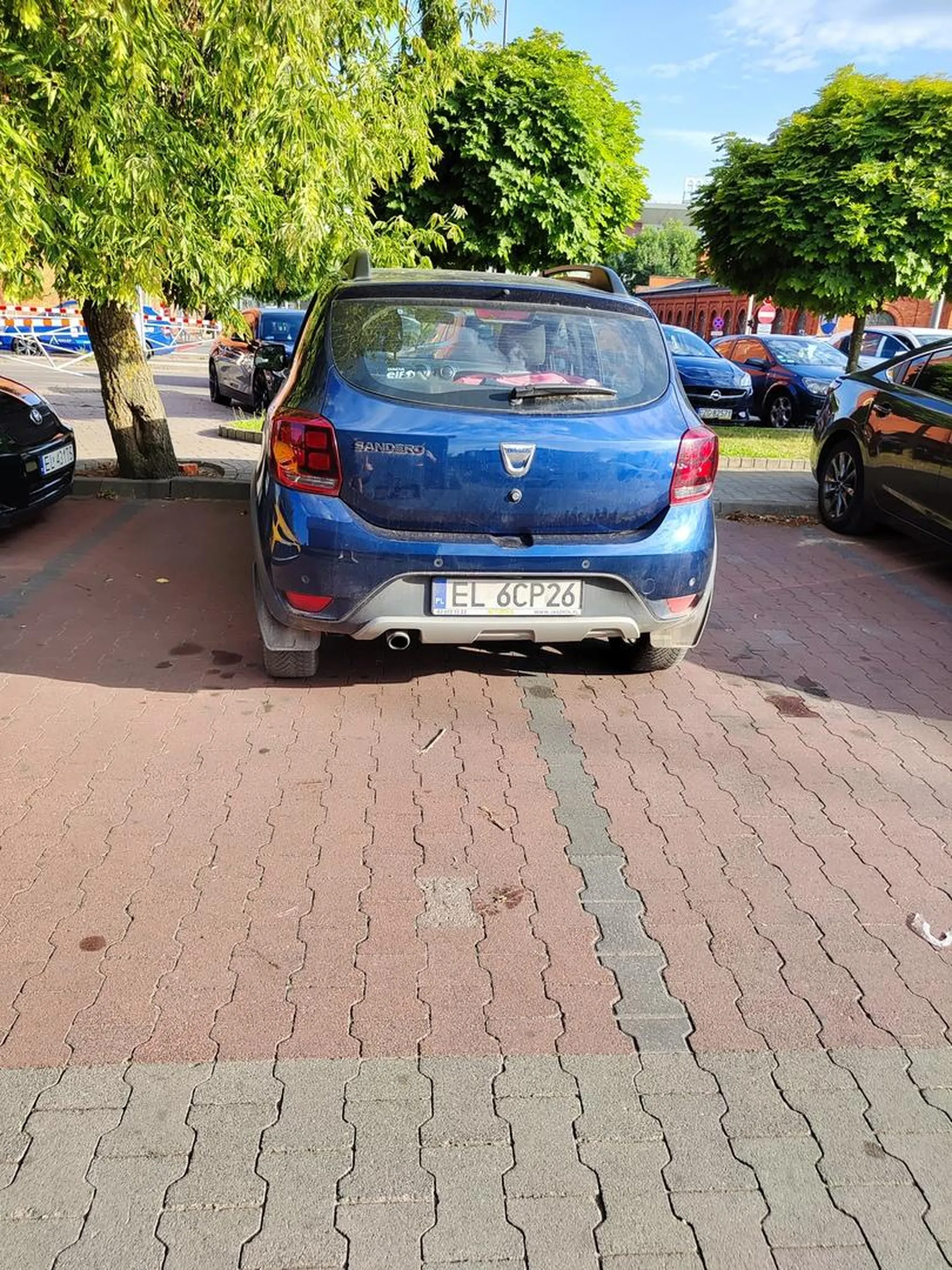 Niepełnosprawność umysłowa.