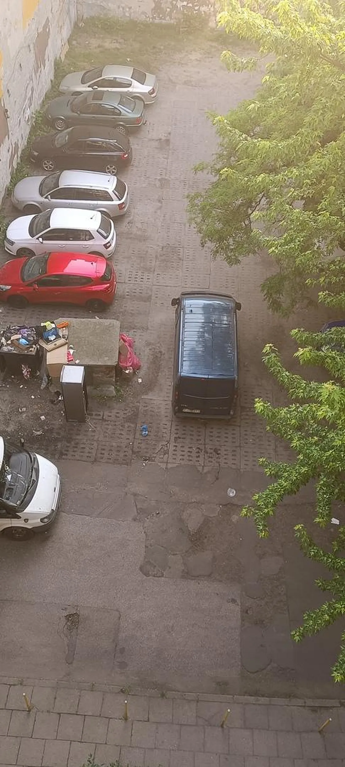 Wyrzuca śmieci gdzie popadnie. Ostatnio udało mu się lodówkę zostawić przez przypadek.