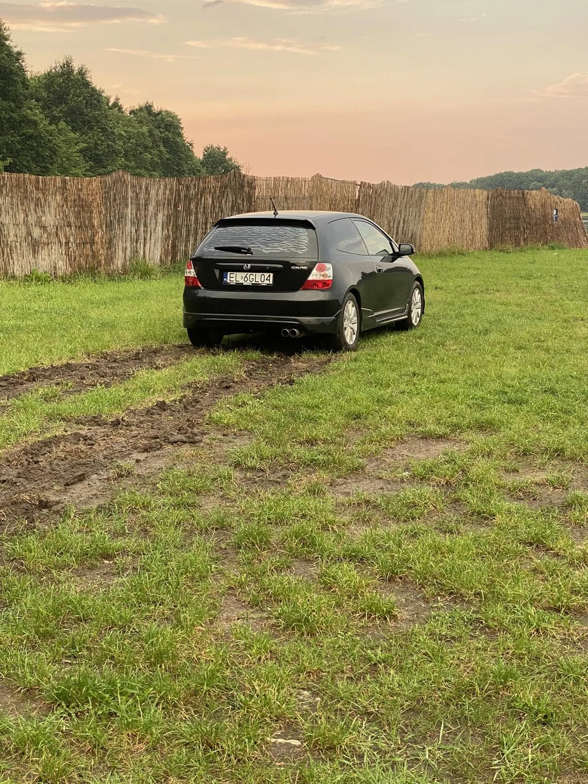 Całe pole mi przeorał