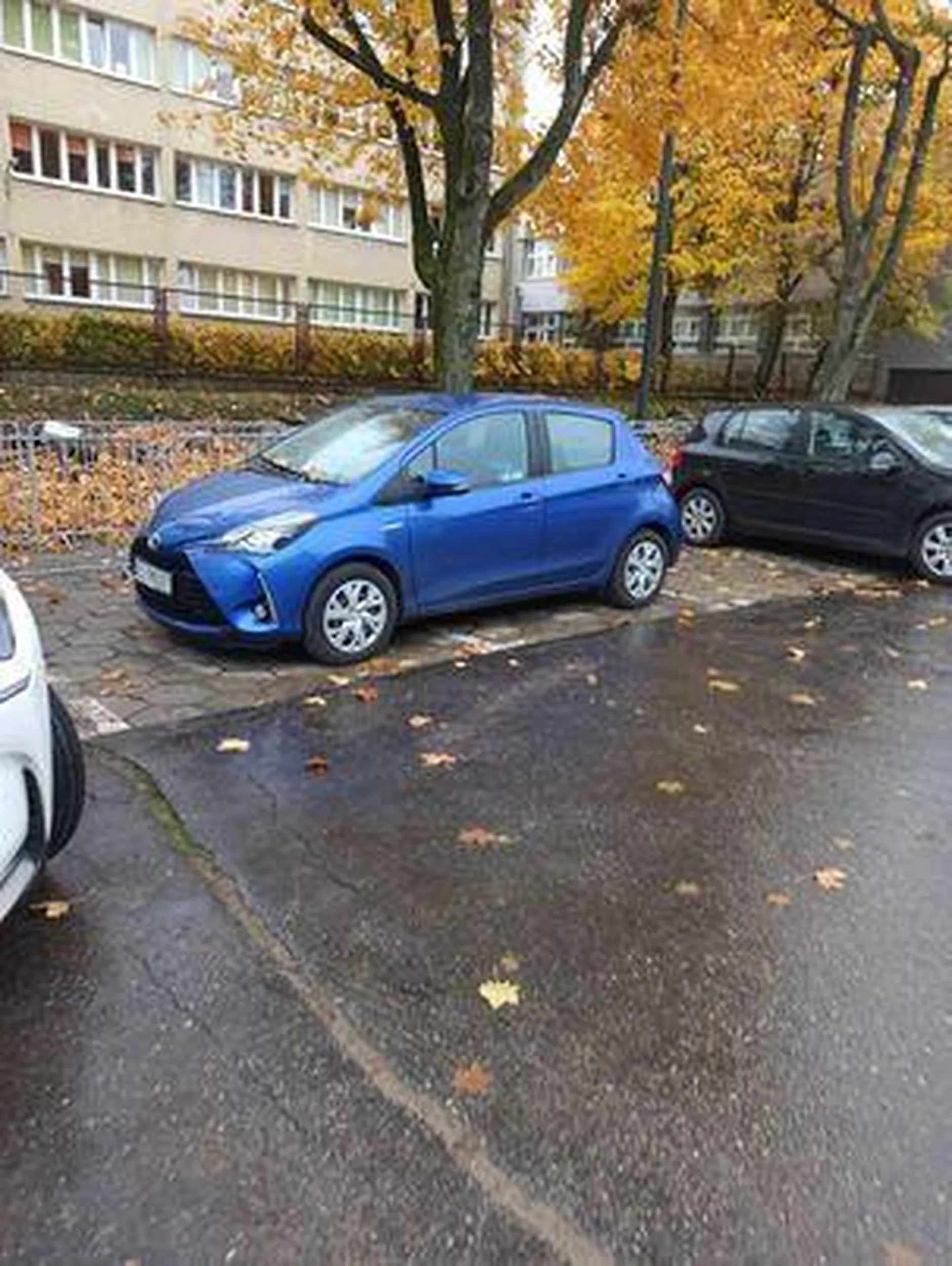 Ciekawy sposób parkowania, CIB Umed Łódź