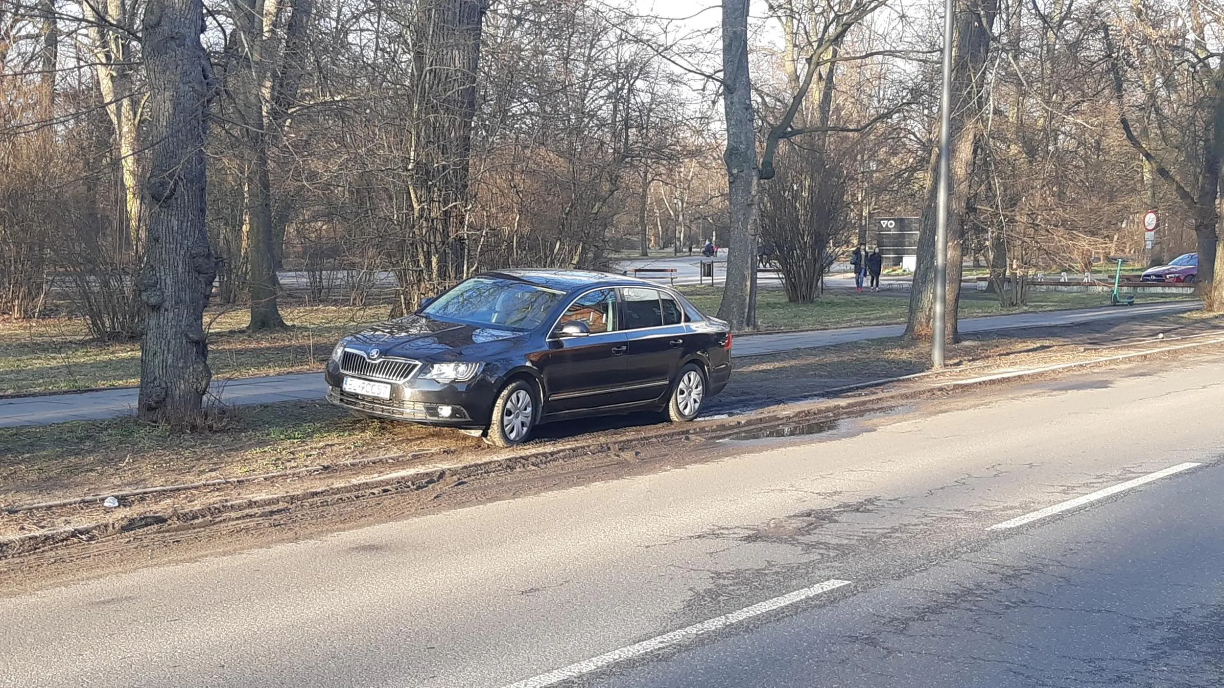 Stop chamom! Stop parkowaniu w parku!