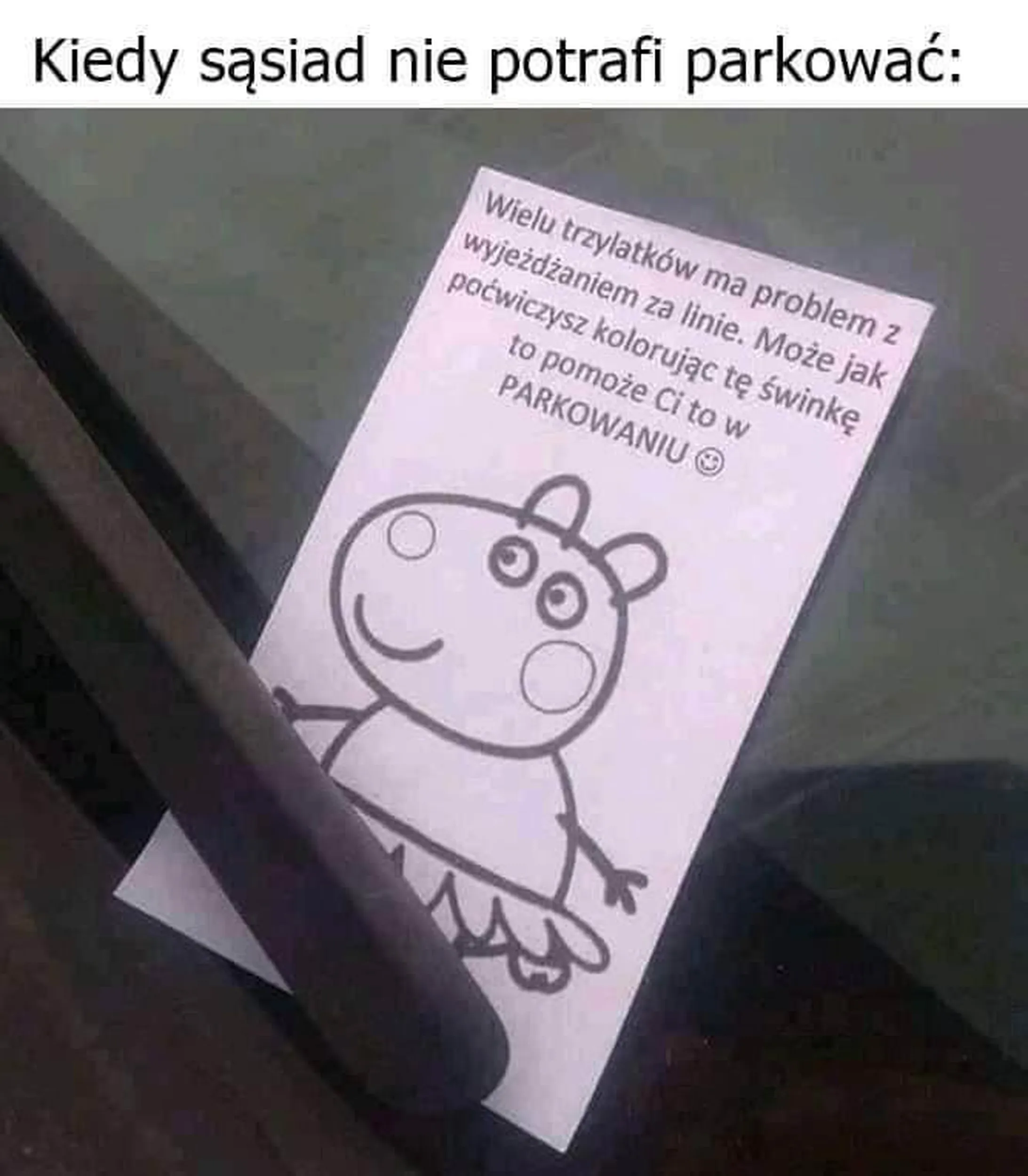 Mistrz parkowania. Zduńska Wola. Parking przy basenie na ul. Kilińskiego.